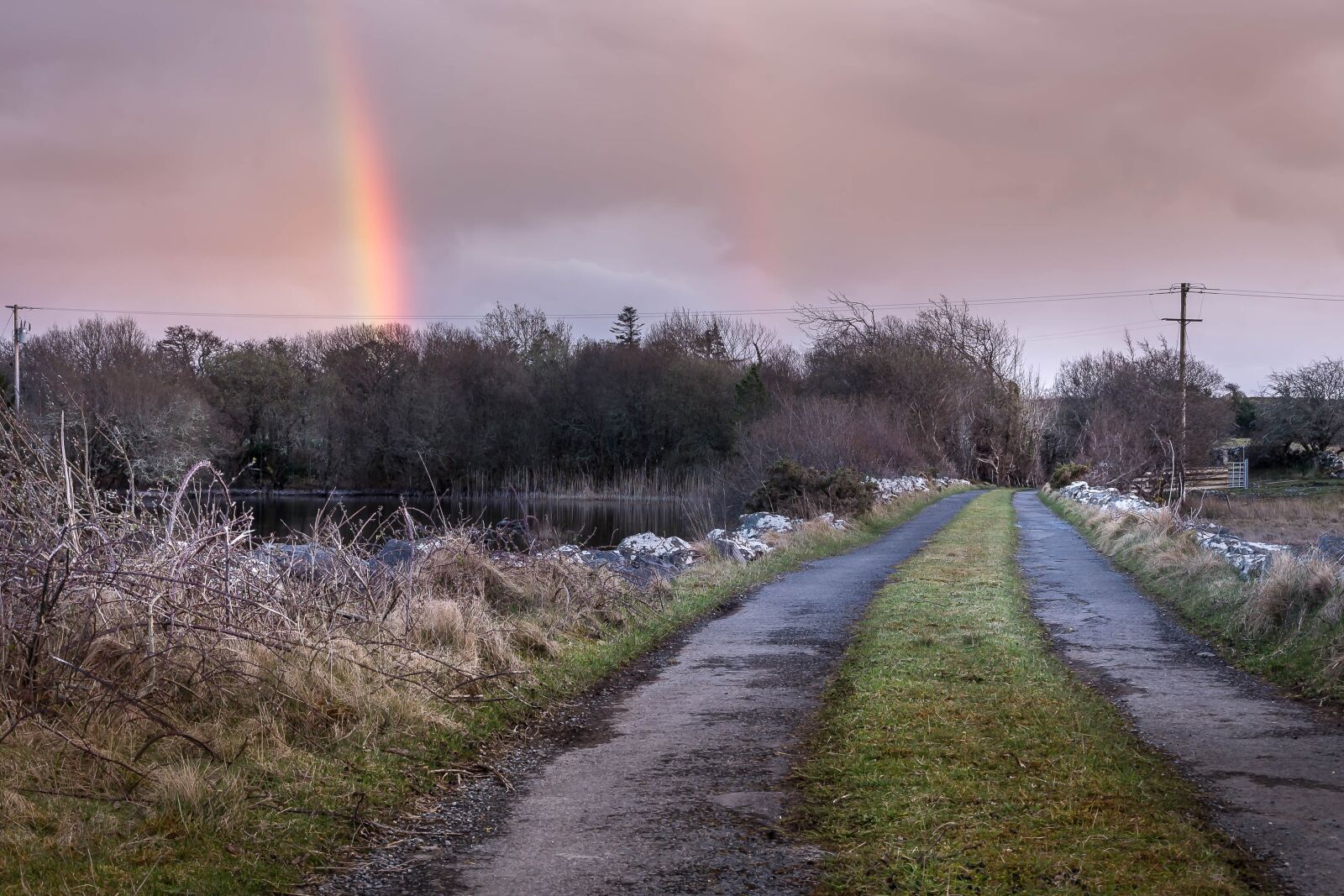 Nikon D610 sample photo. Nature, landscape, outdoors photography