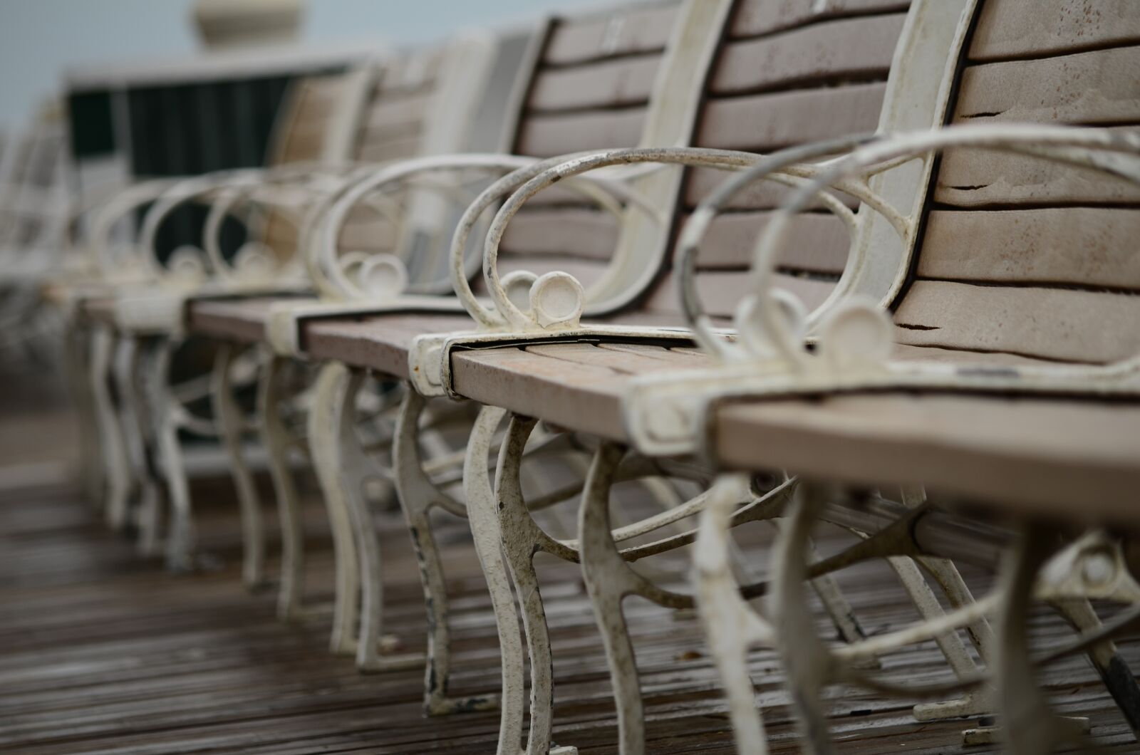 Nikon D5100 sample photo. Waiting, resting, sitting photography