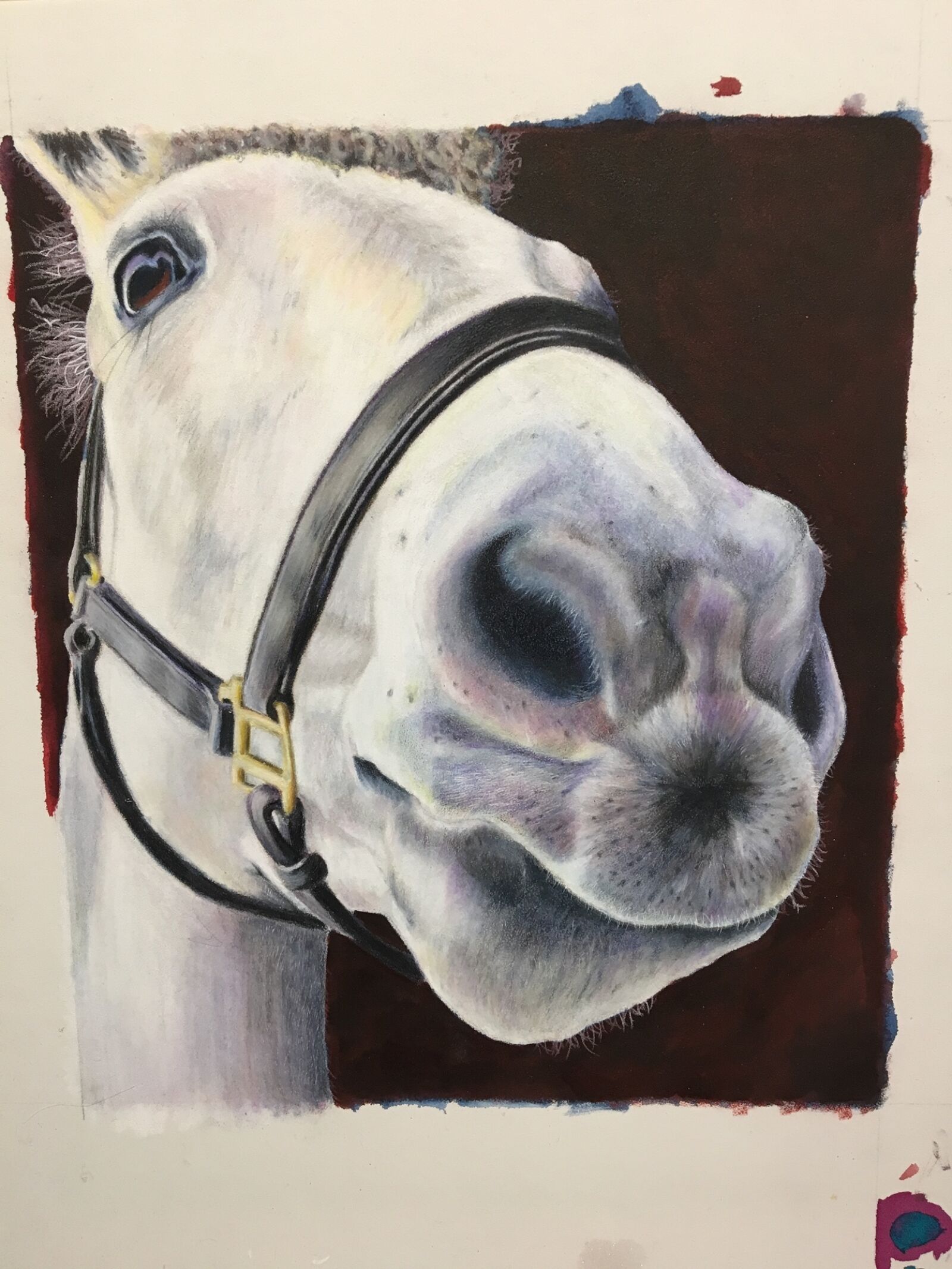 Apple iPhone 6s sample photo. Horse, animal, pet photography