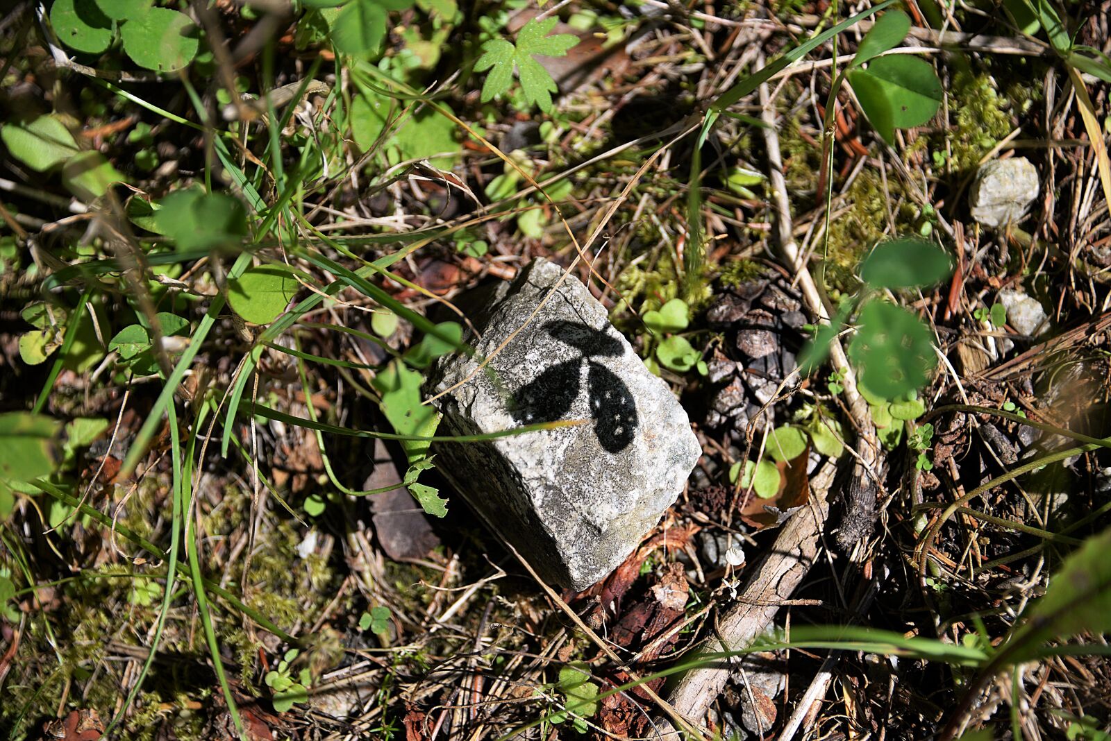 Nikon D610 sample photo. Stone, shadow, hispanic photography