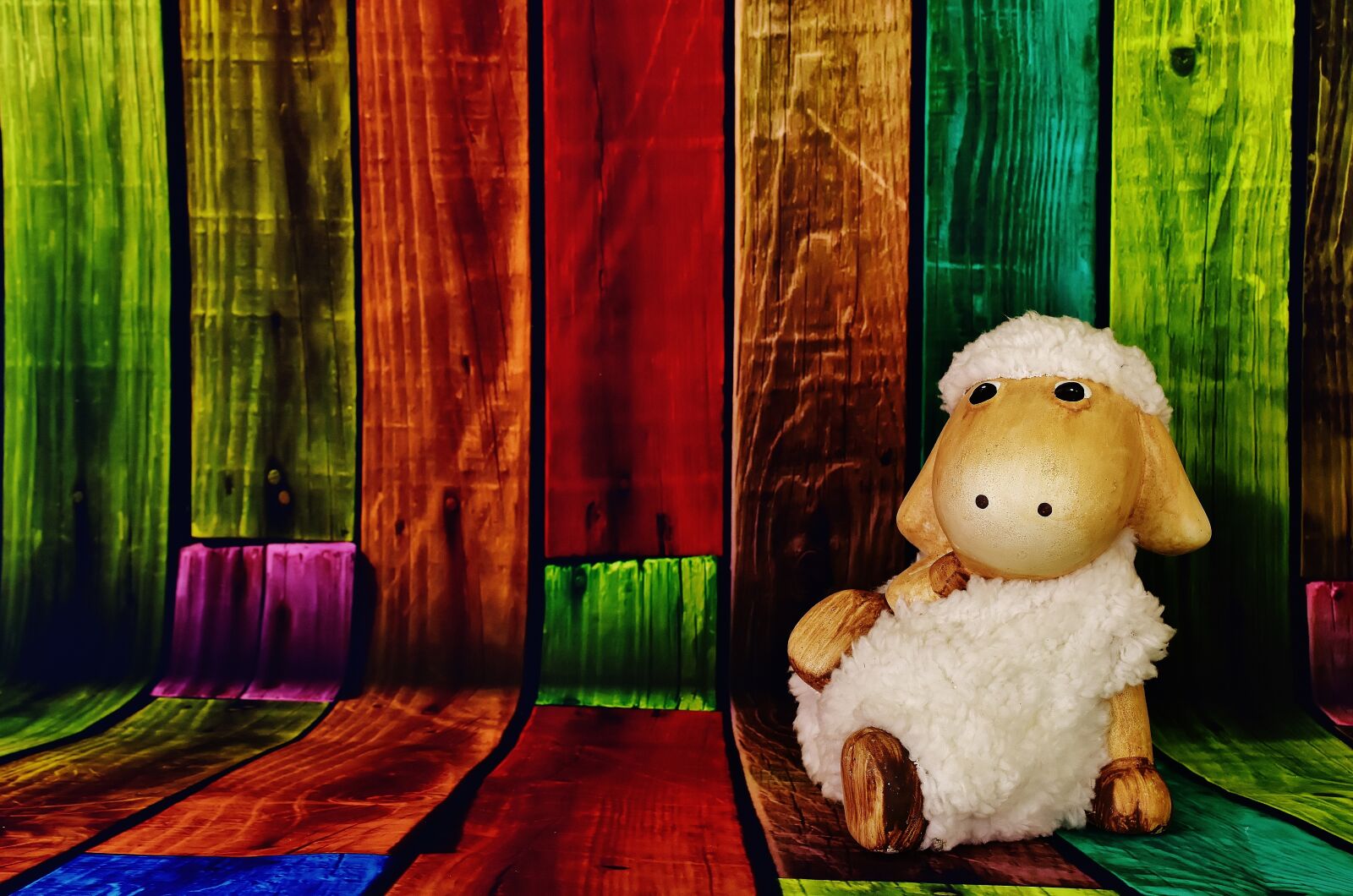 Nikon D7200 sample photo. Figure, sheep, funny photography