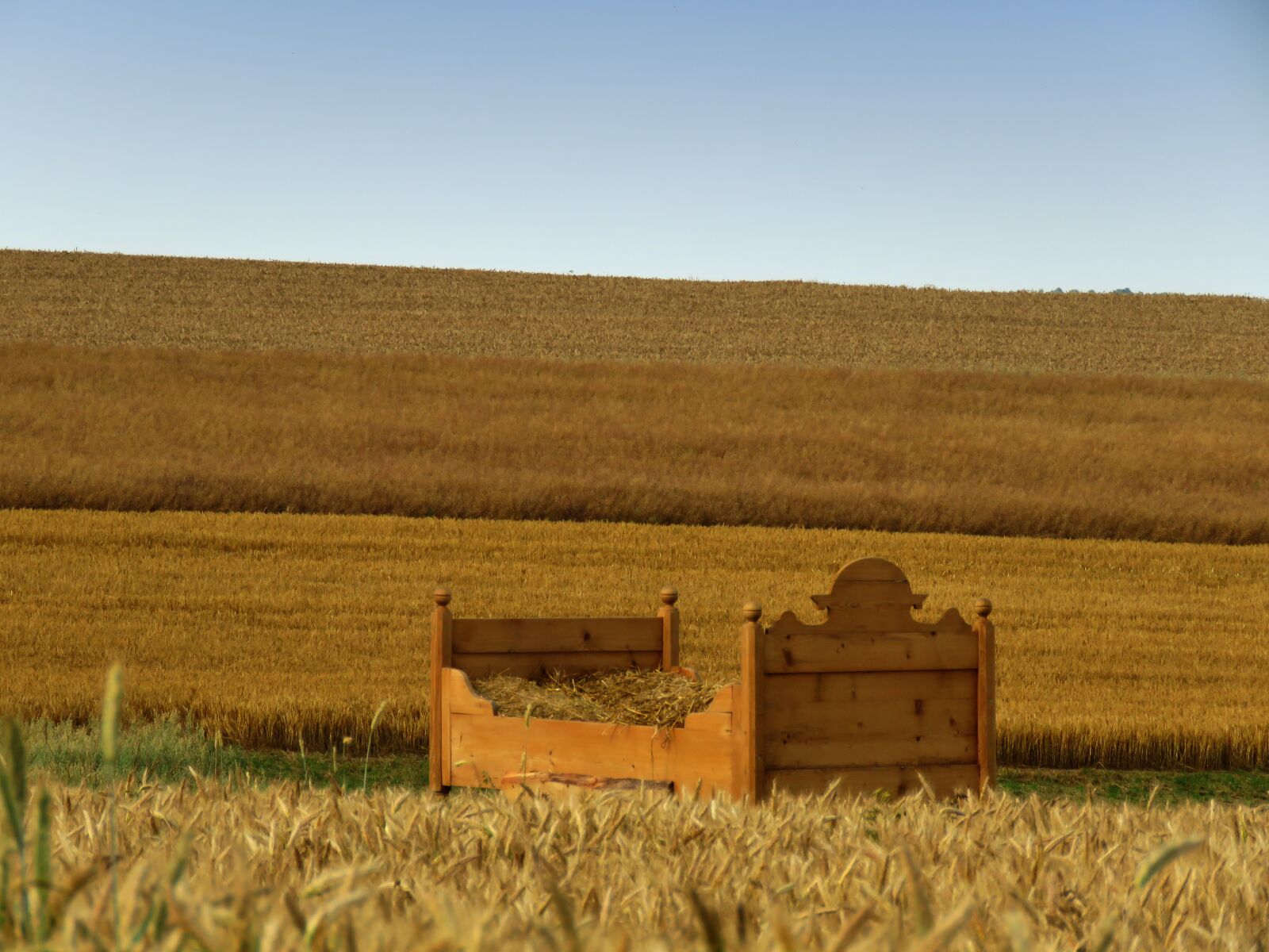 Canon PowerShot SX60 HS sample photo. Bed, cornfield, bed in photography