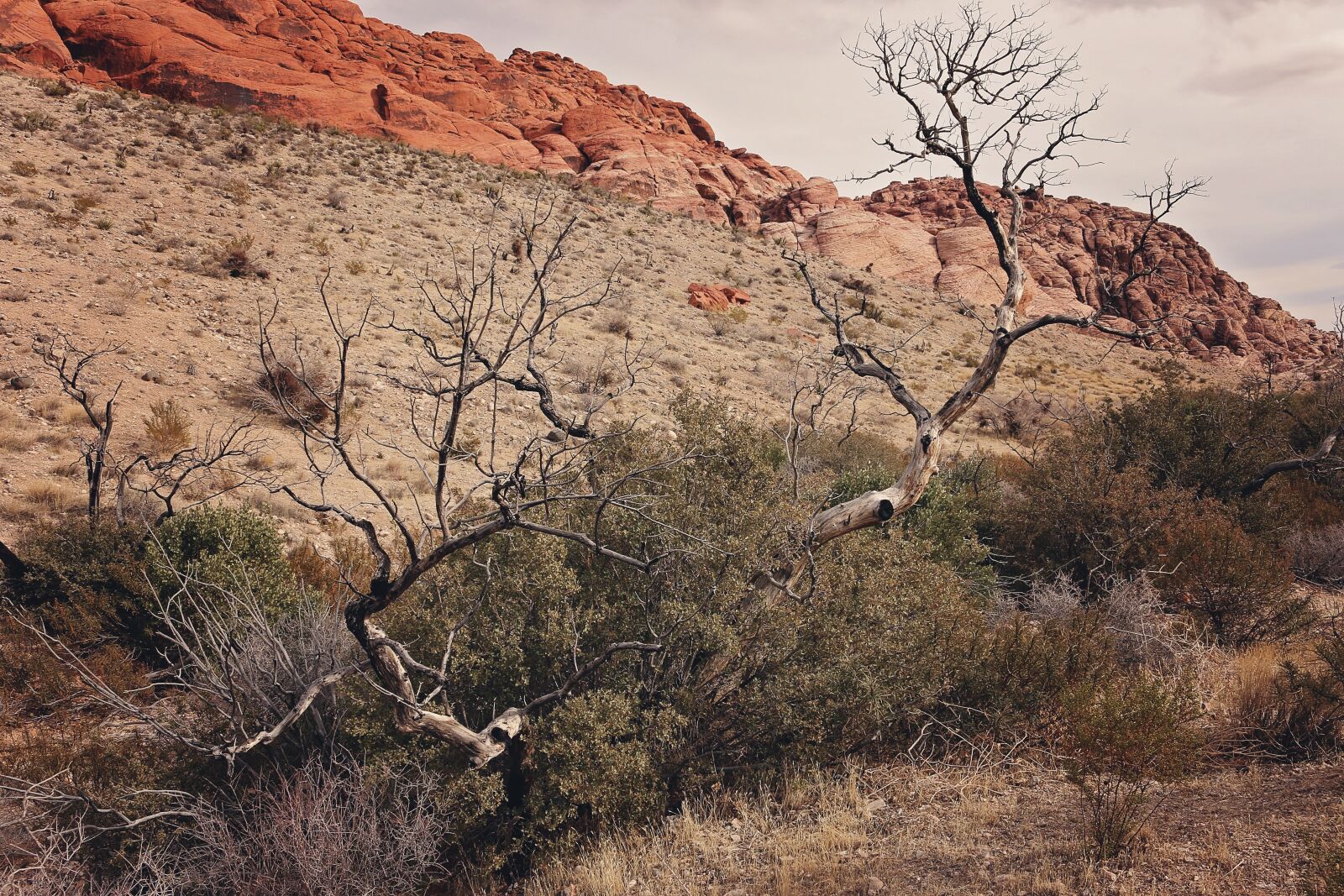 Canon EOS 70D sample photo. Red rock canyon, las photography
