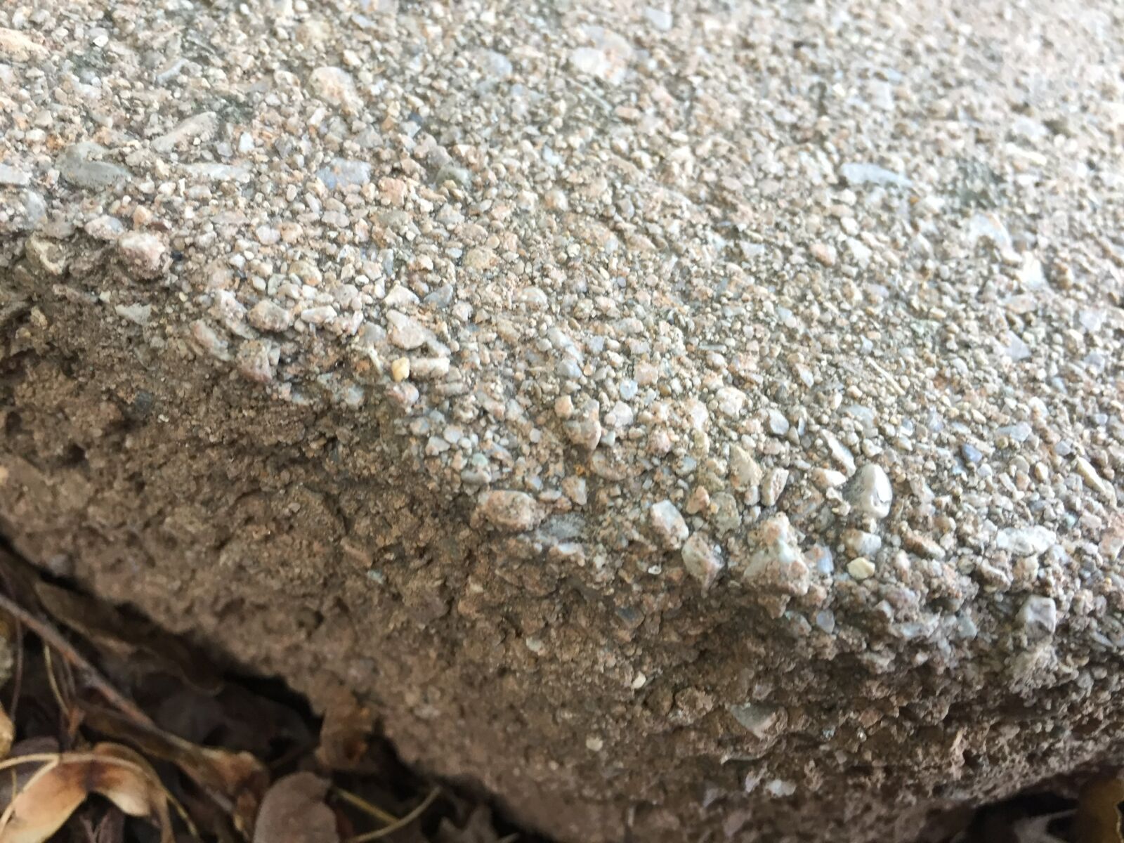 iPhone 6 back camera 4.15mm f/2.2 sample photo