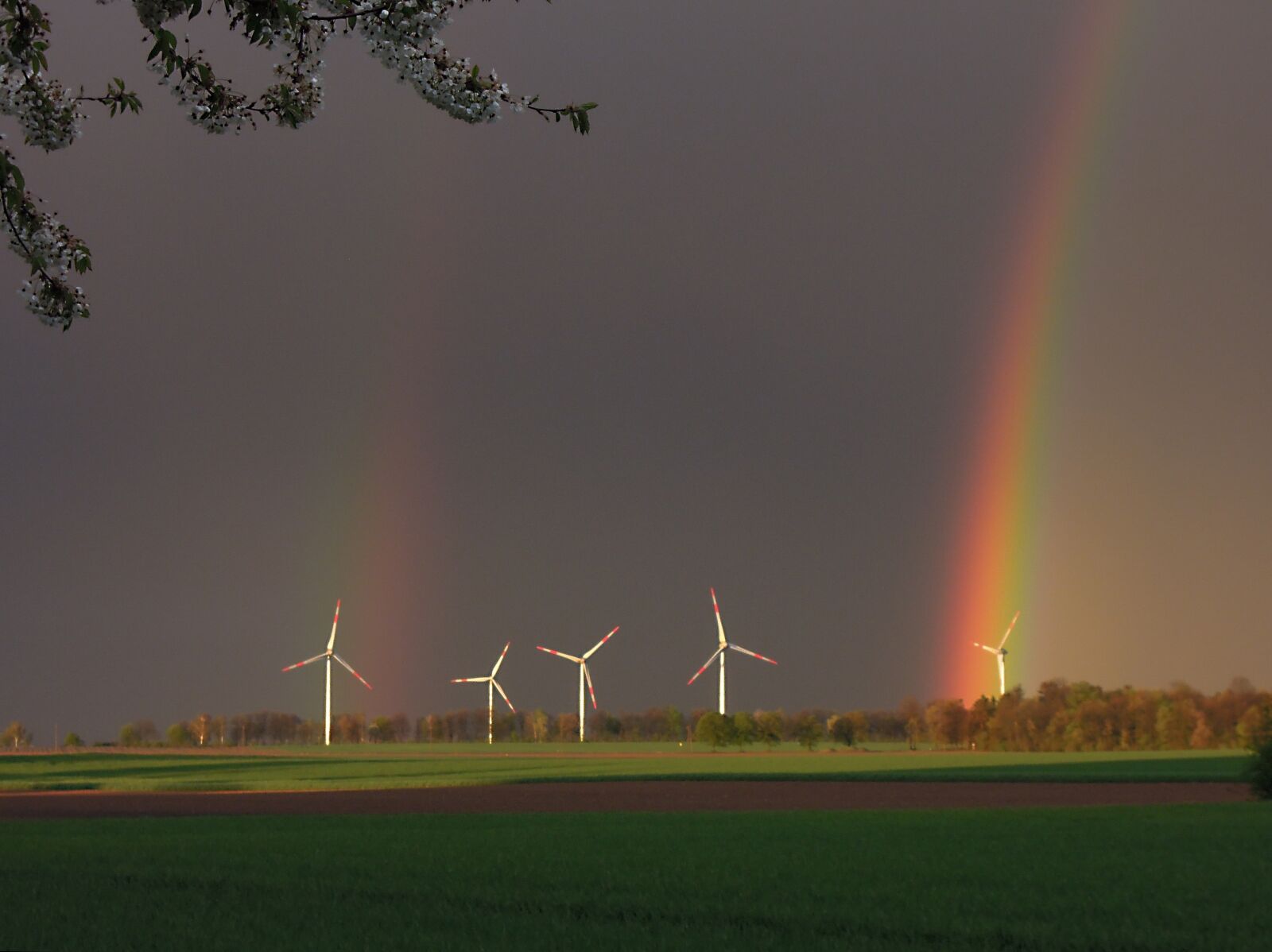 Nikon Coolpix P300 sample photo. Windräder, rainbow, landscape photography