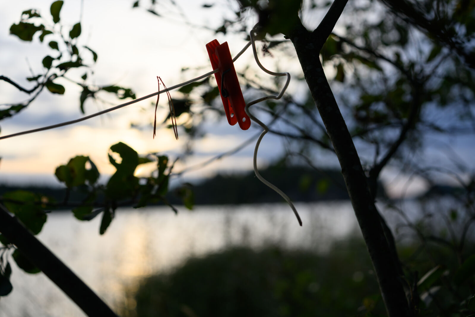 Nikon Z8 sample photo. Clothes peg photography