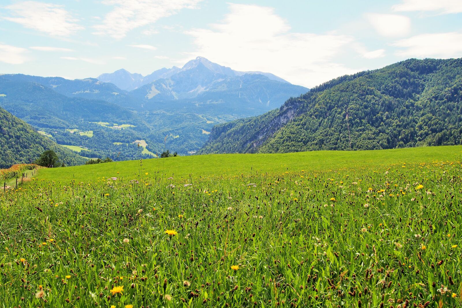 Olympus PEN E-PL6 sample photo. Scenery, summer, rural photography