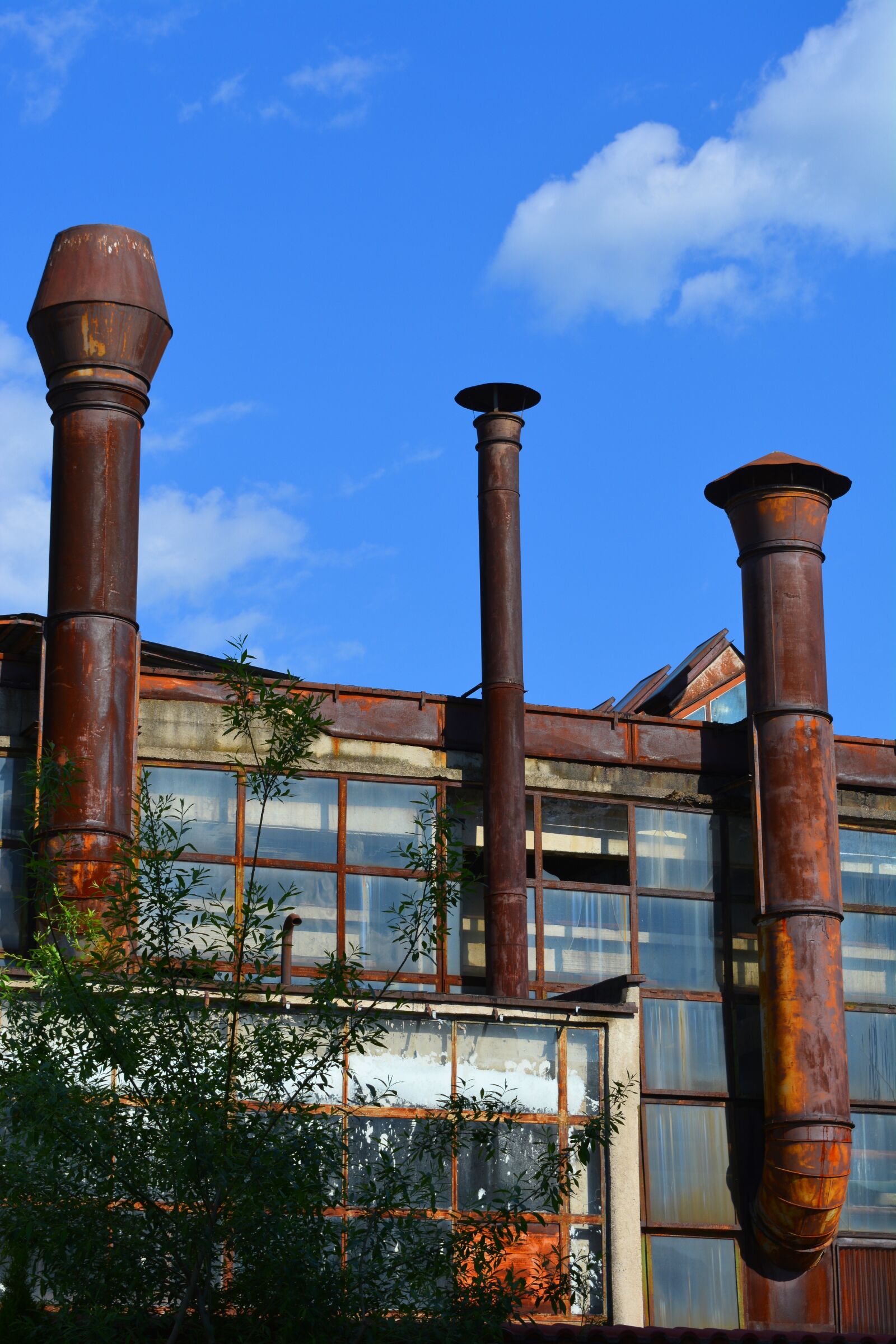 Nikon D5200 sample photo. Plant, old, ruin photography