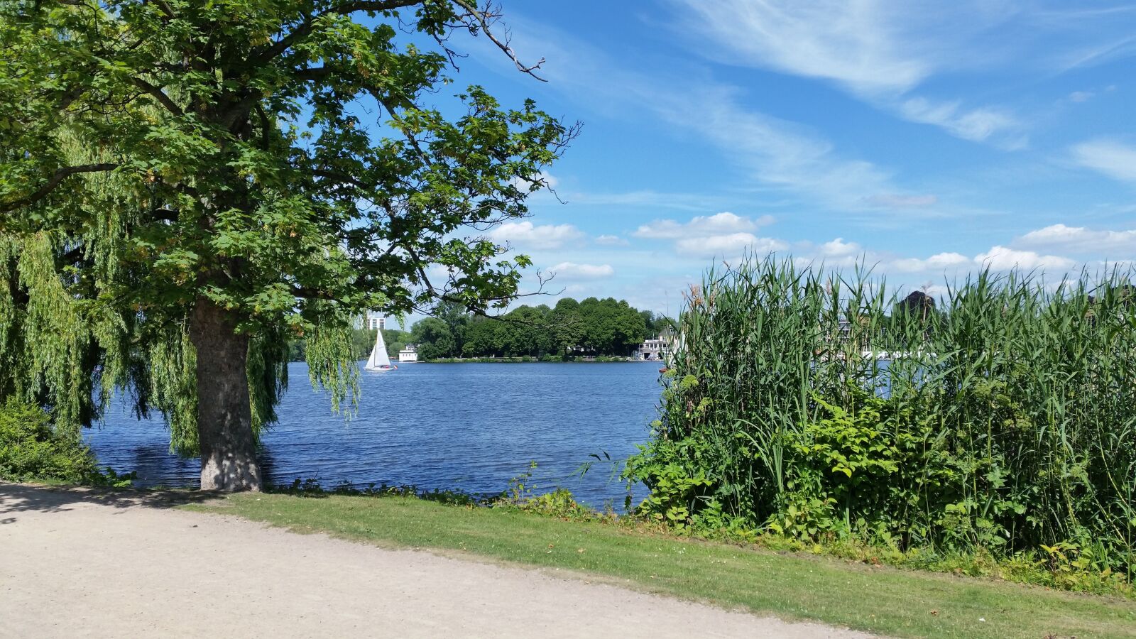 Samsung Galaxy S5 sample photo. Hamburg, alster, water photography