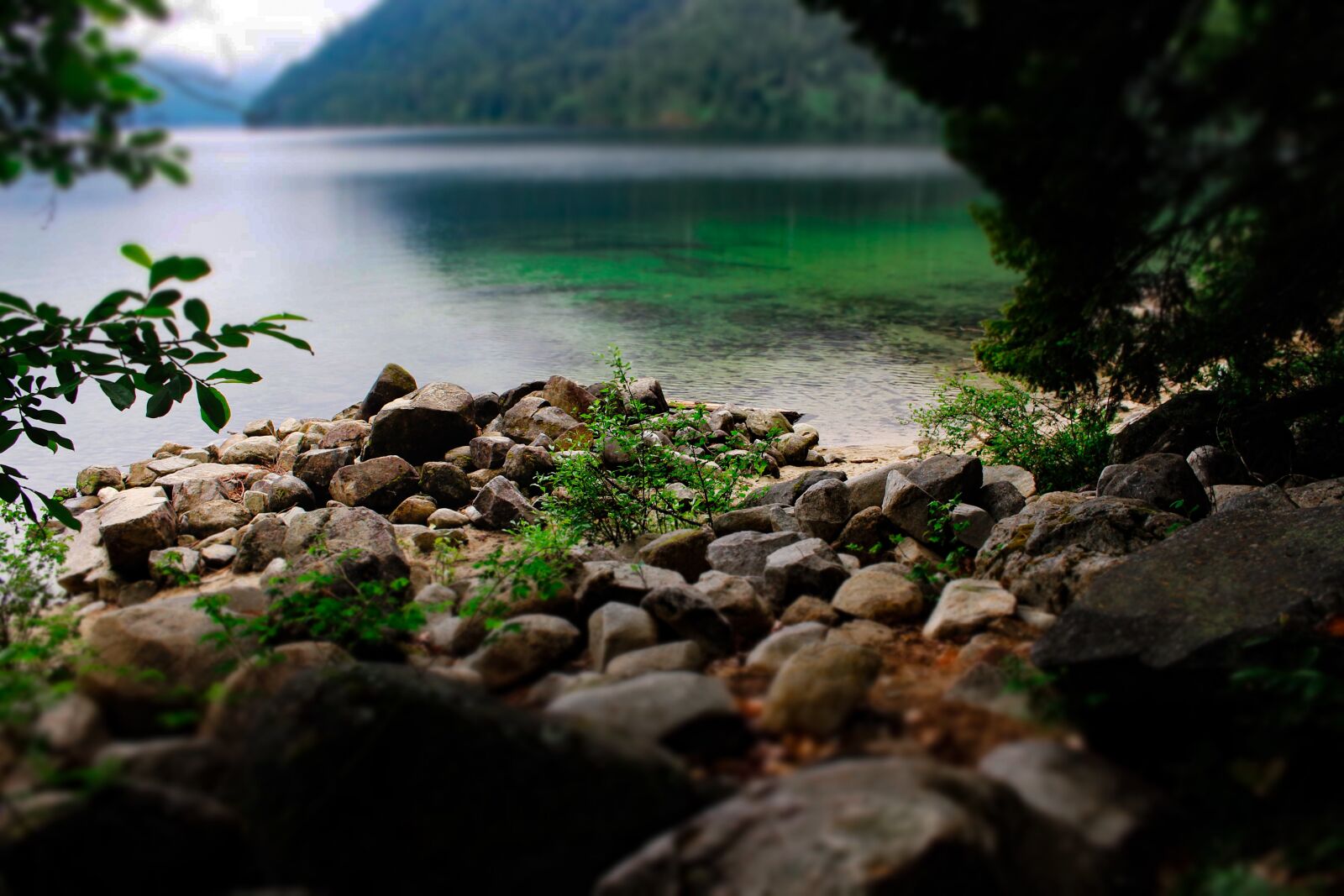 Canon EOS 700D (EOS Rebel T5i / EOS Kiss X7i) sample photo. Lake, nature, beautiful photography