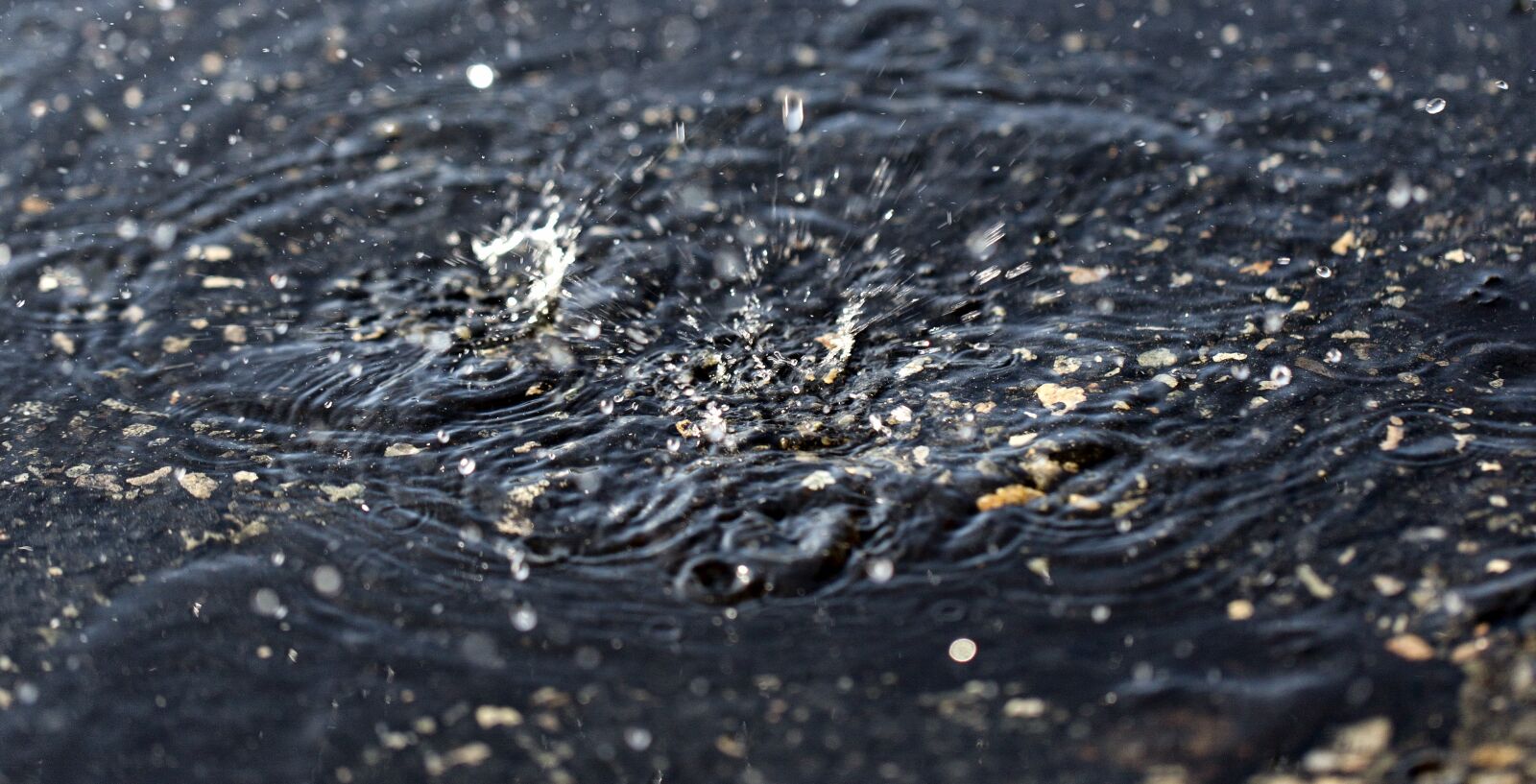 Canon EF 100mm F2.8L Macro IS USM sample photo. Dripping, splash, water explosion photography