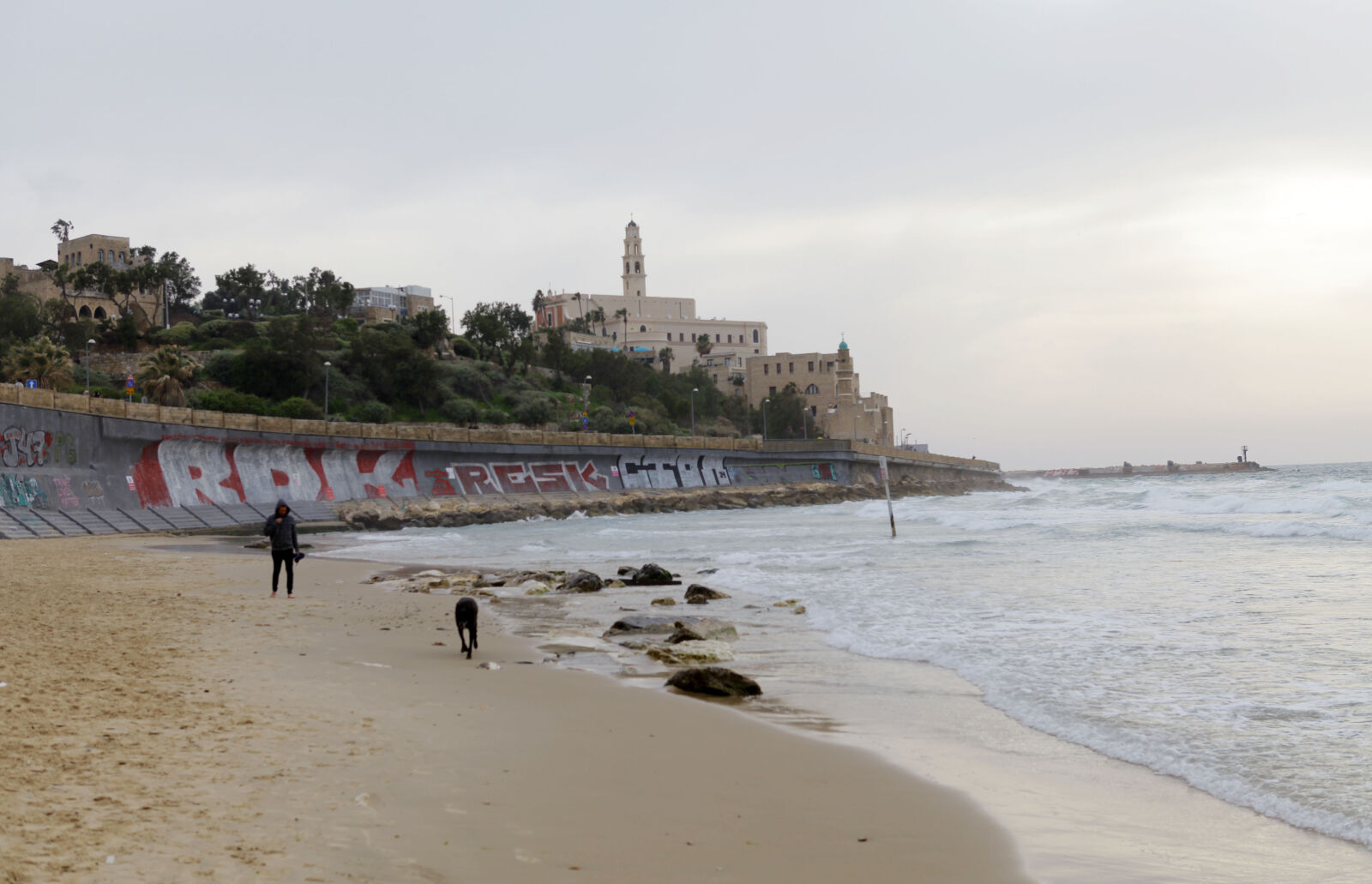 Canon EOS 5D Mark II sample photo. Beach, dog, israel, jaffa photography