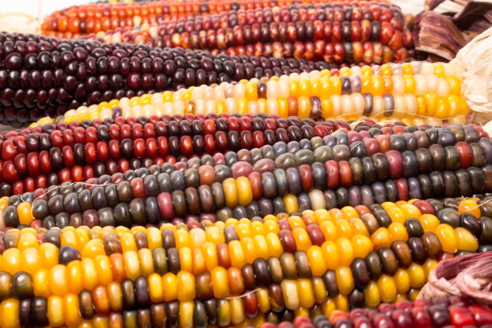 Canon EOS 700D (EOS Rebel T5i / EOS Kiss X7i) sample photo. Corn, market, hazelnut photography