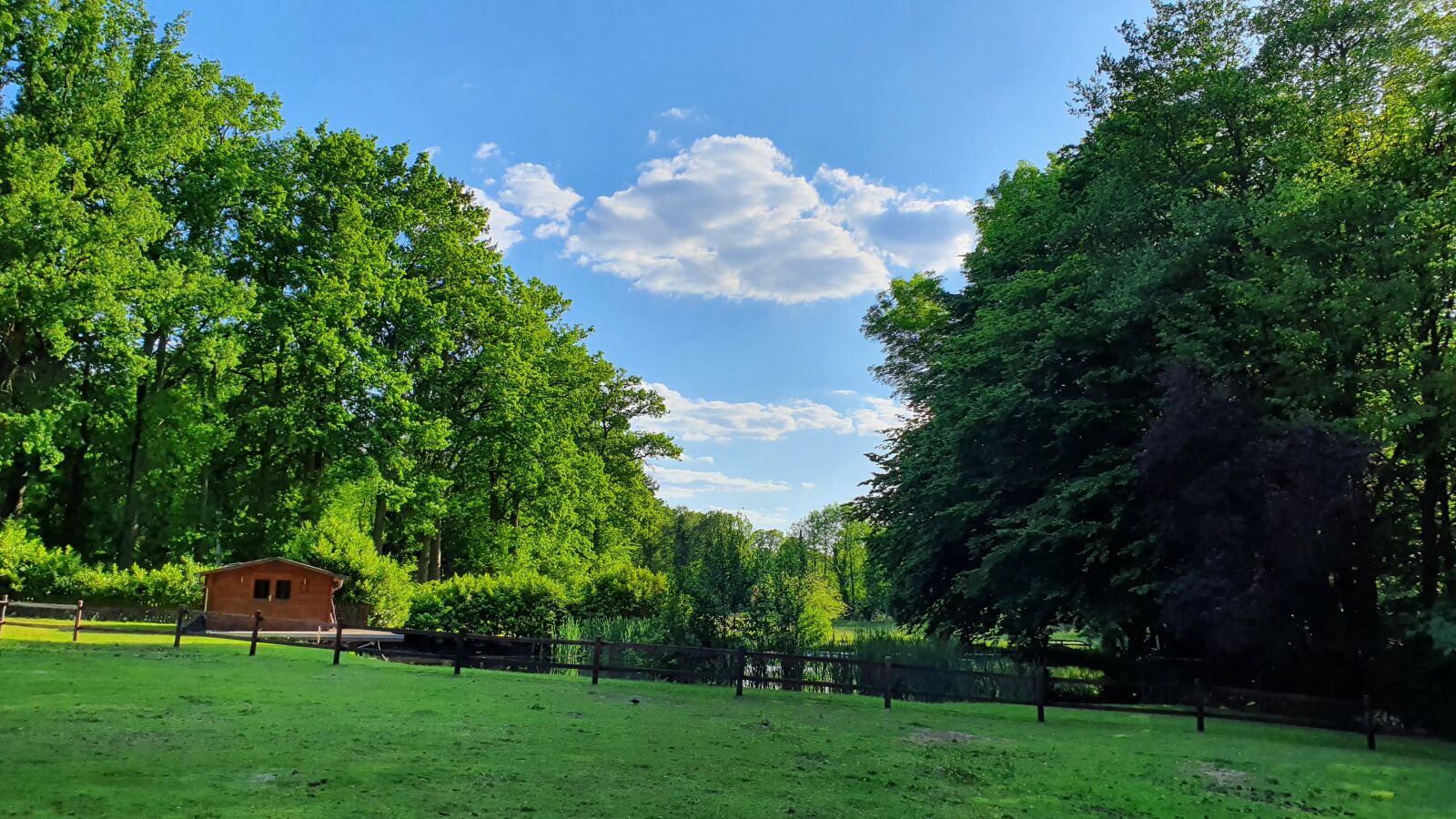 Samsung Galaxy S10 sample photo. Nature, travel, trees photography