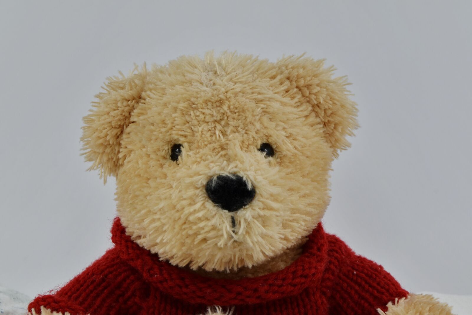 Nikon D5500 sample photo. Plush, toy, teddy bear photography
