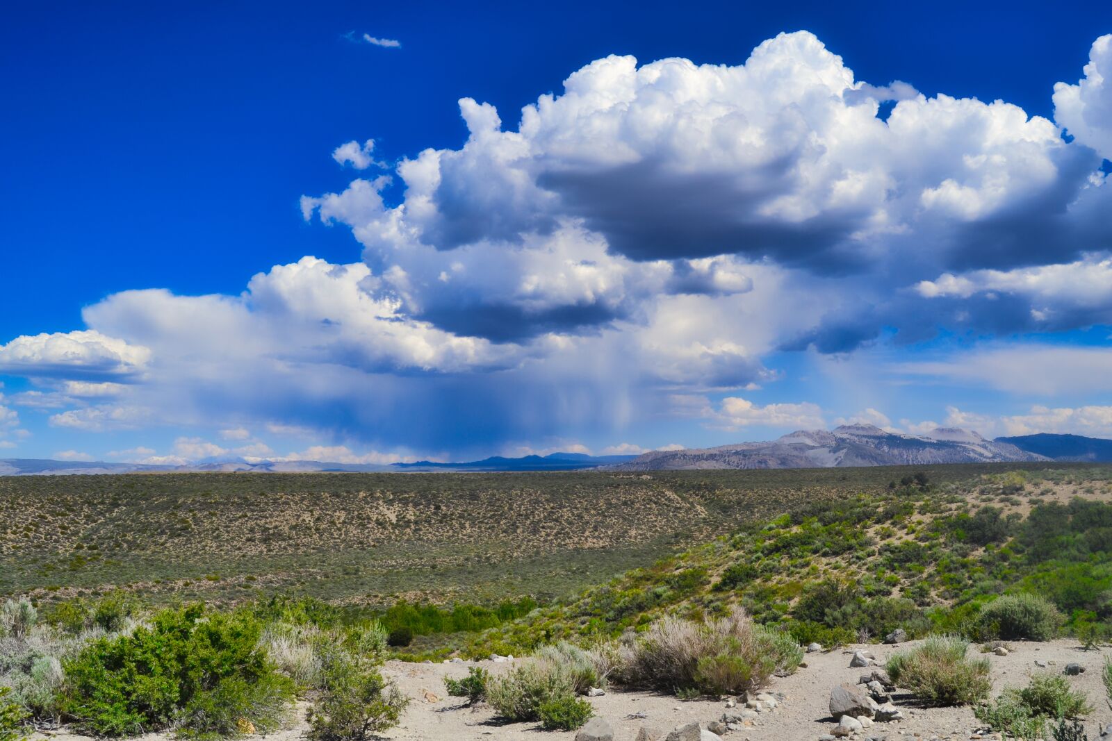 Nikon D3100 sample photo. Death valley, desert, dry photography