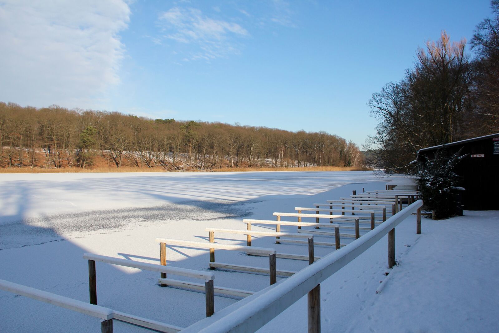 Canon EOS 550D (EOS Rebel T2i / EOS Kiss X4) sample photo. Winter, lake, wintry photography