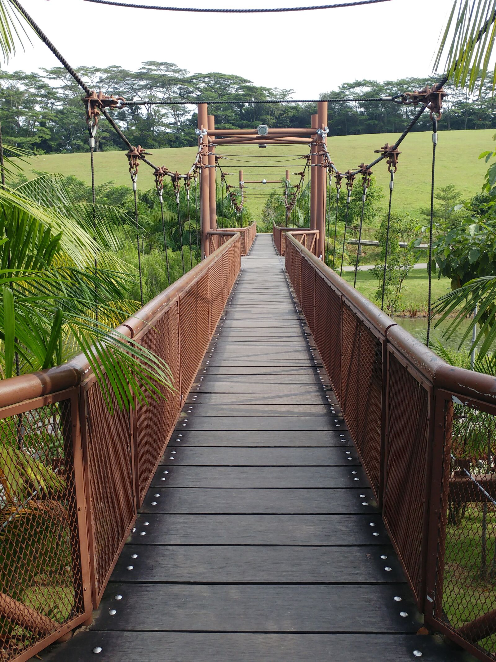 LG G5 sample photo. Bridge, outdoors, nature photography