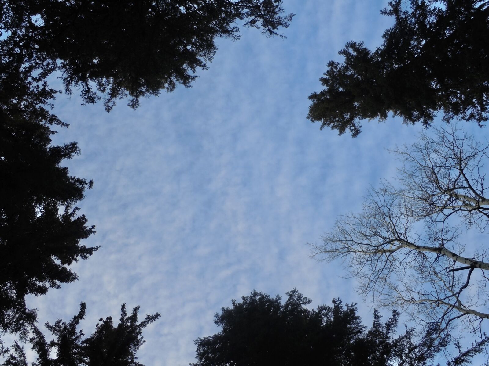 Nikon Coolpix S6000 sample photo