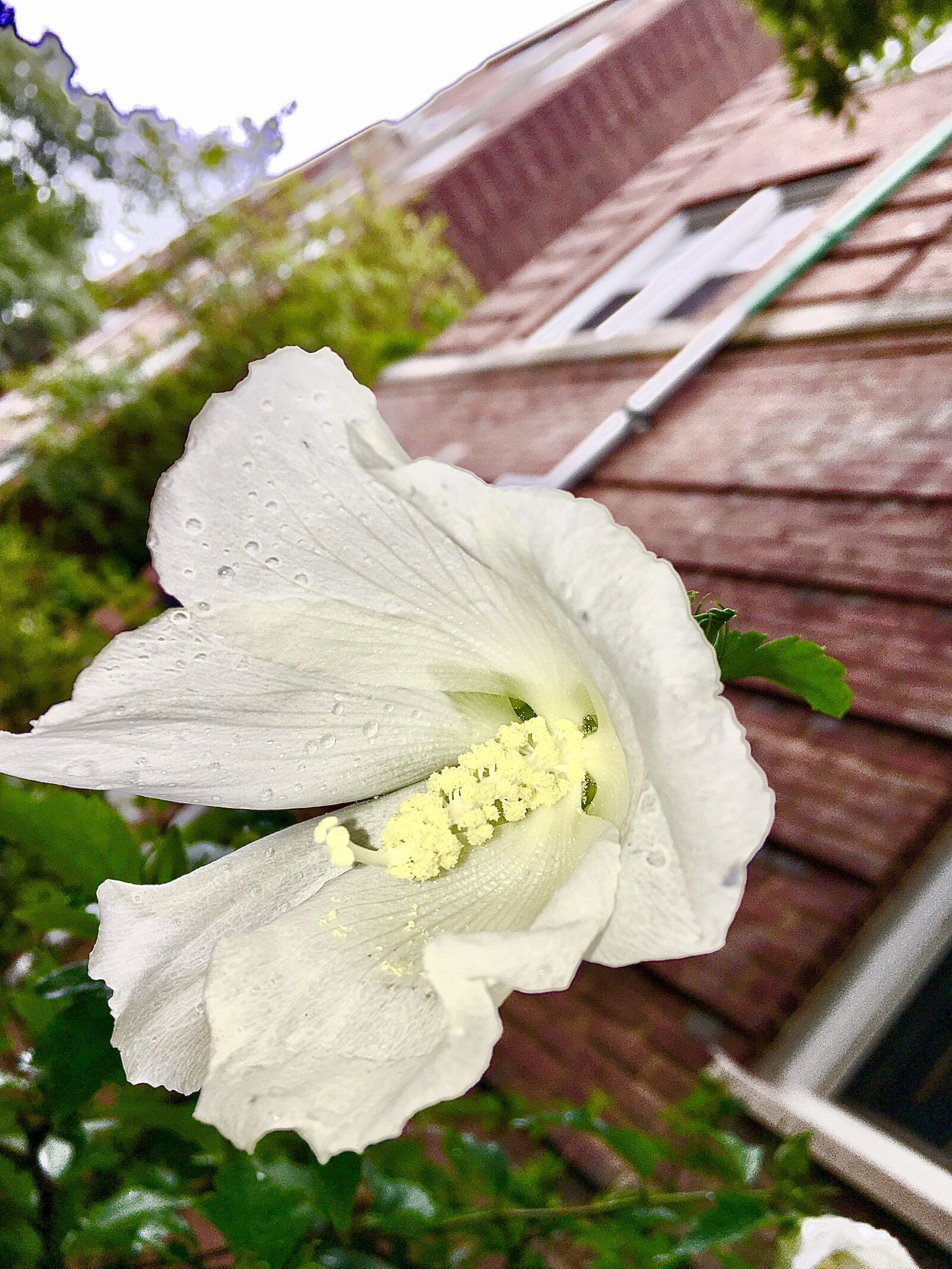 iPhone 6s back camera 4.15mm f/2.2 sample photo. City, urban, nyc photography