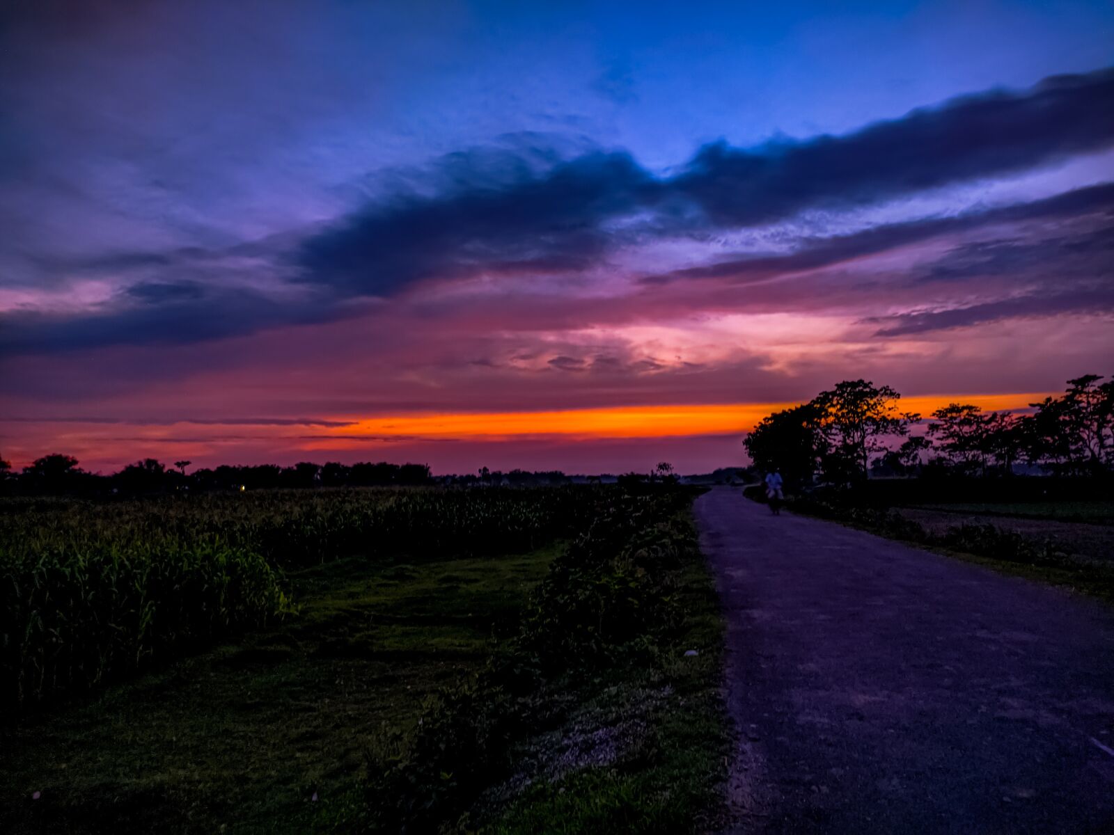 Xiaomi Redmi Note 8 sample photo. Landscape, road, sunset photography