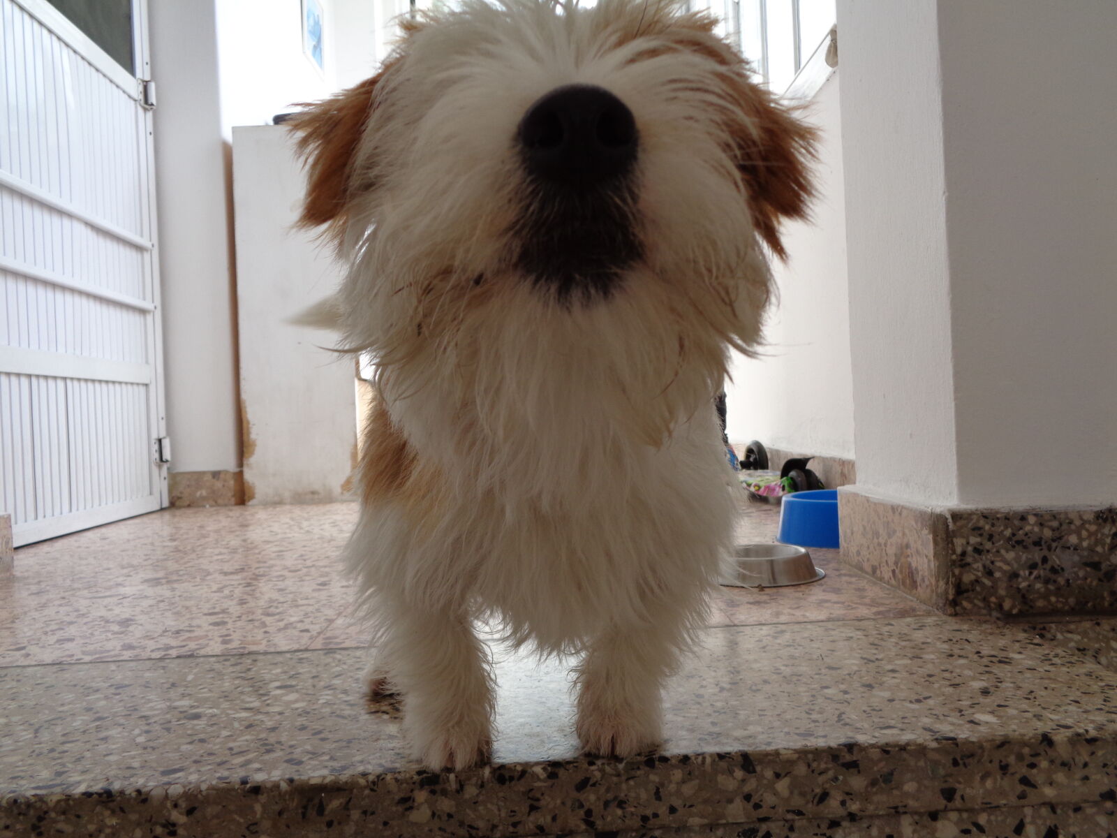 Sony Cyber-shot DSC-W830 sample photo