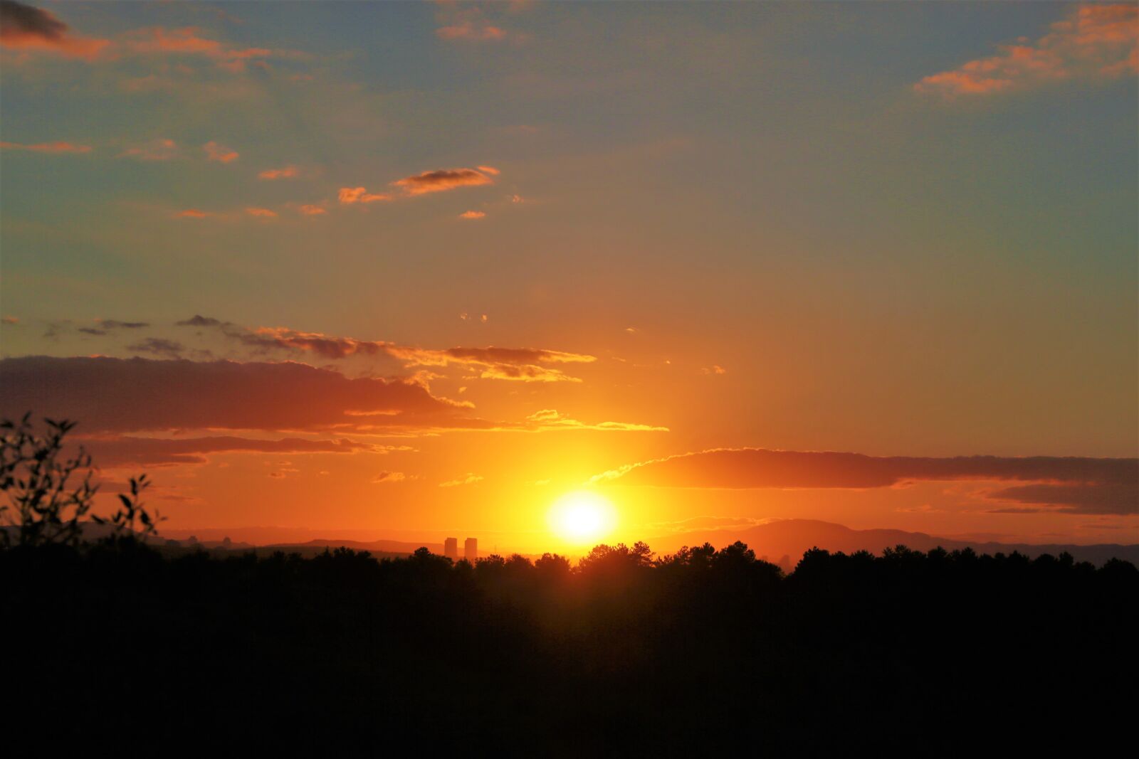 Canon EF 24-105mm F4L IS USM sample photo. Sunset, trees, silhouette photography