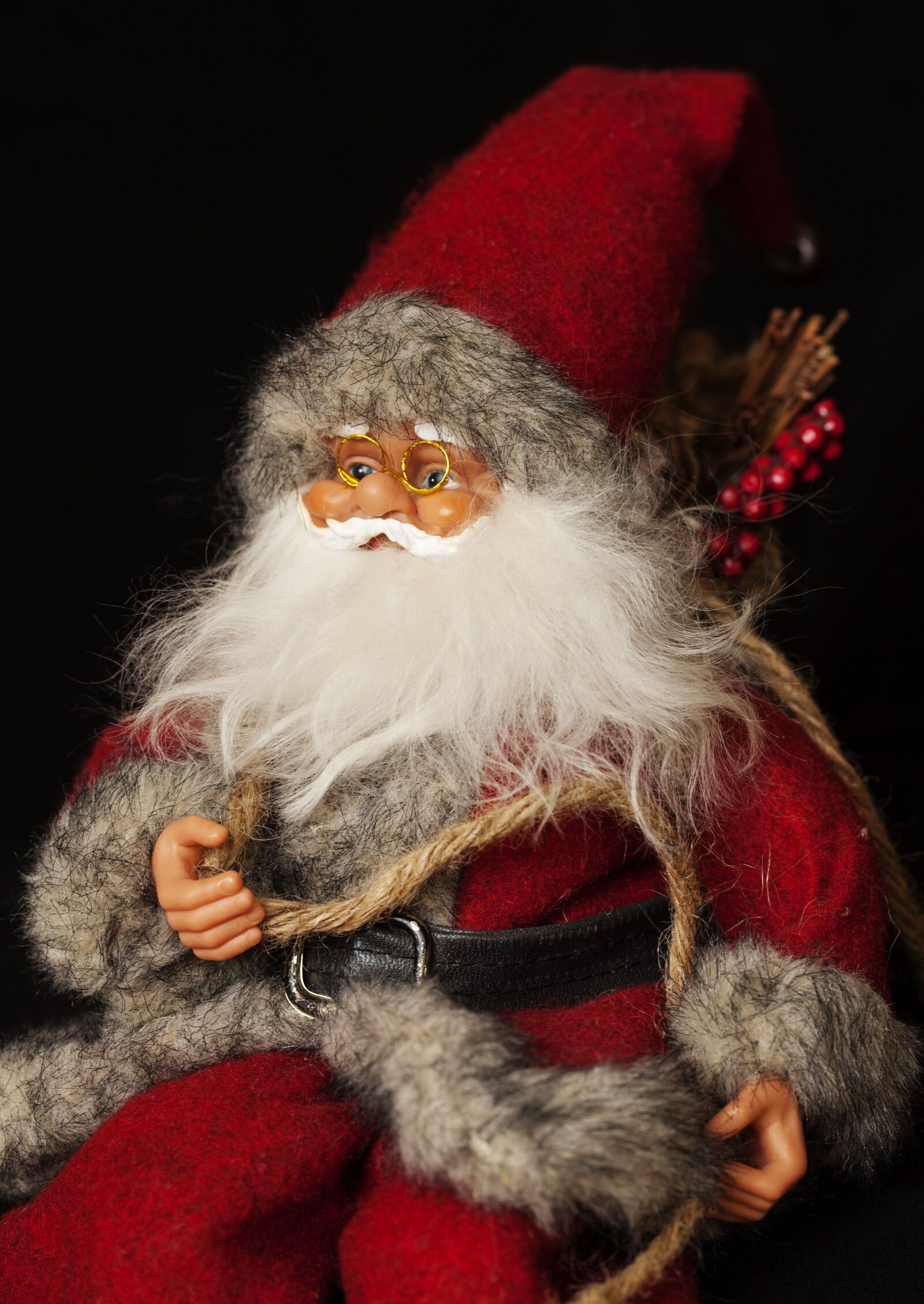 Canon EOS 5D Mark II sample photo. Santa claus, christmas, santa photography
