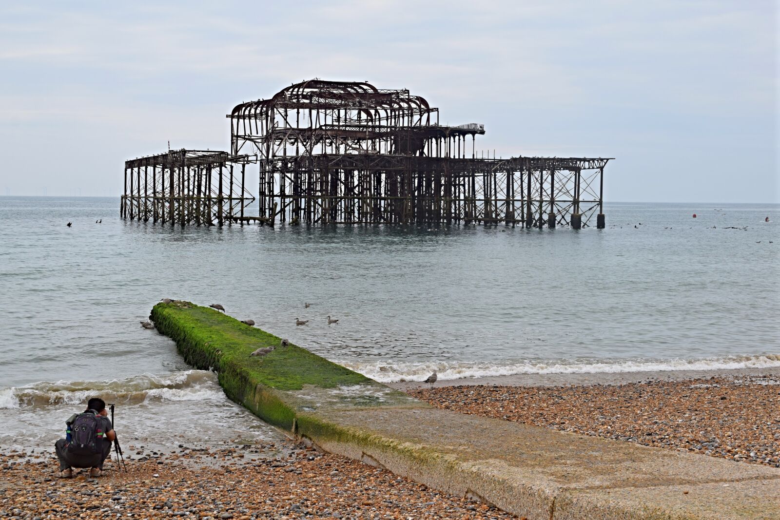 Nikon D3300 sample photo. Brighton, pier, shoreline photography