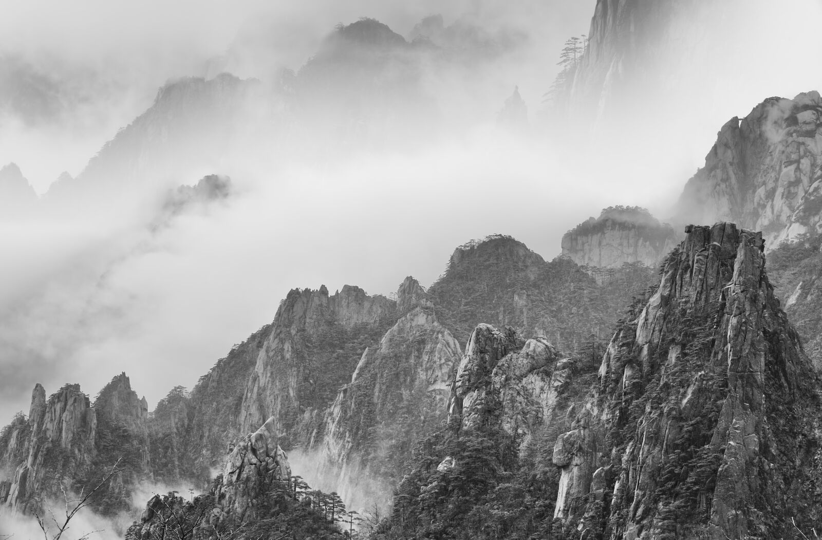 Nikon D700 sample photo. Huangshan mountains, cloud, pine photography