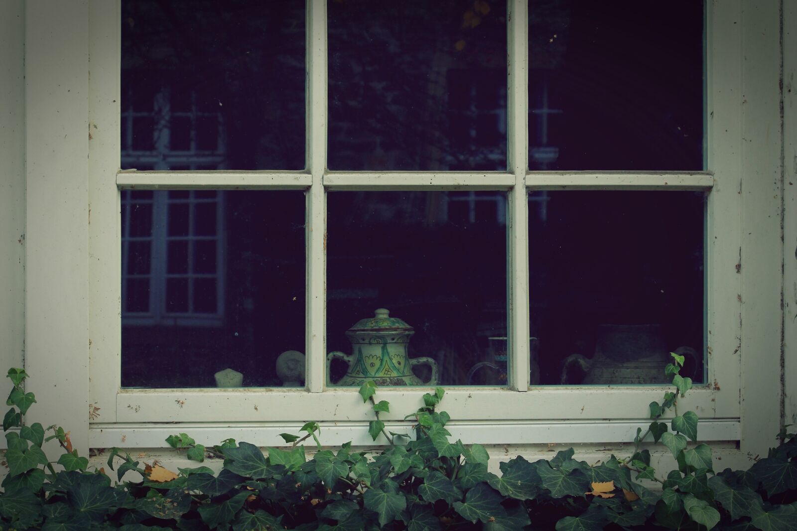 Canon EF-S 55-250mm F4-5.6 IS II sample photo. Window, ivy, wall photography