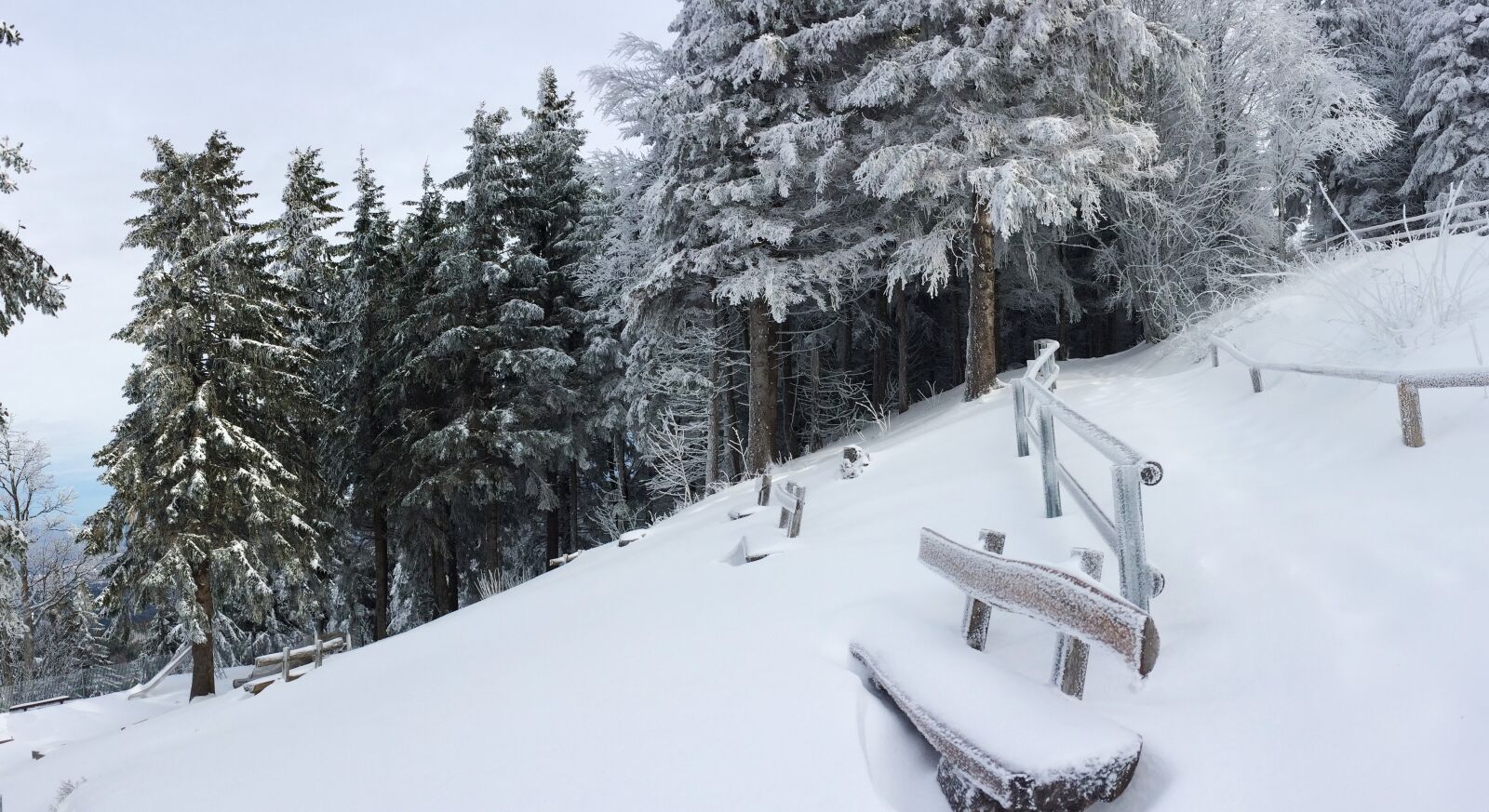 iPhone 5s back camera 4.15mm f/2.2 sample photo. Freiburg, schauinsland, snow photography