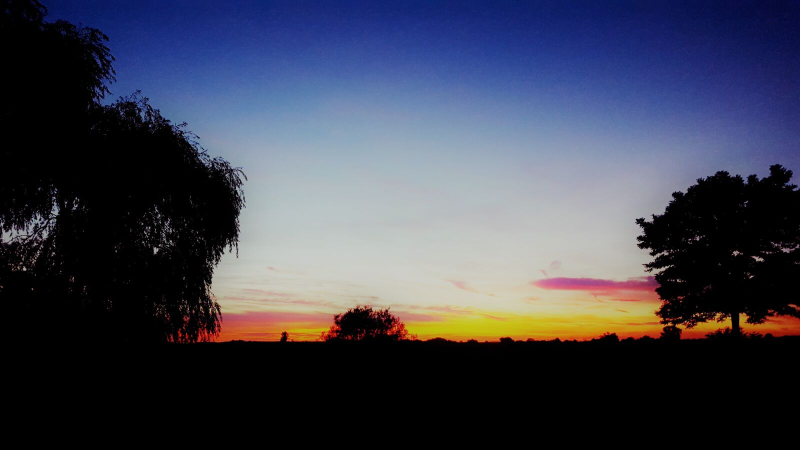 Samsung GALAXY S6 edge sample photo. Landscape, sun, tree photography