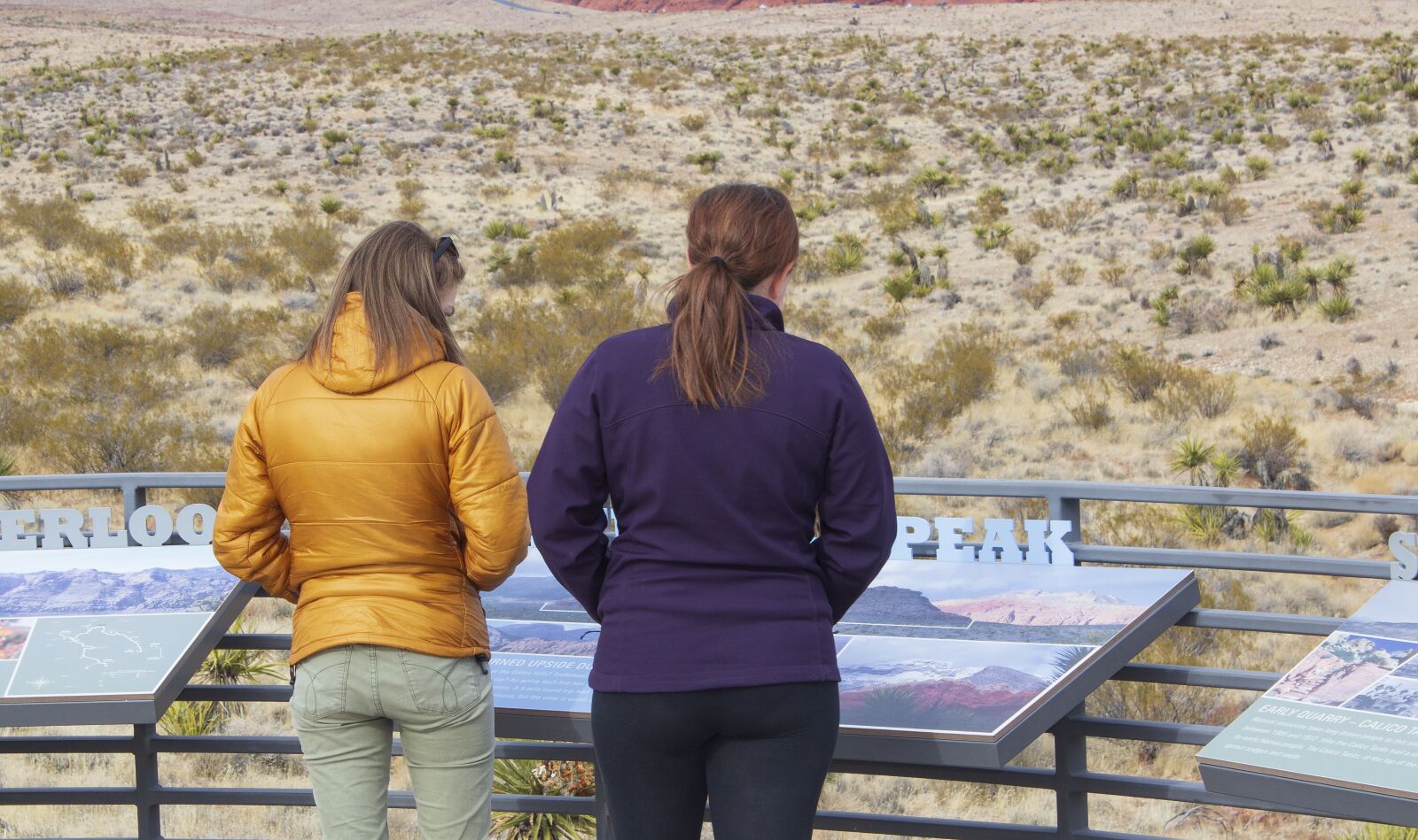 Canon EOS 600D (Rebel EOS T3i / EOS Kiss X5) sample photo. Viewpoint, red rocks, interpretive photography