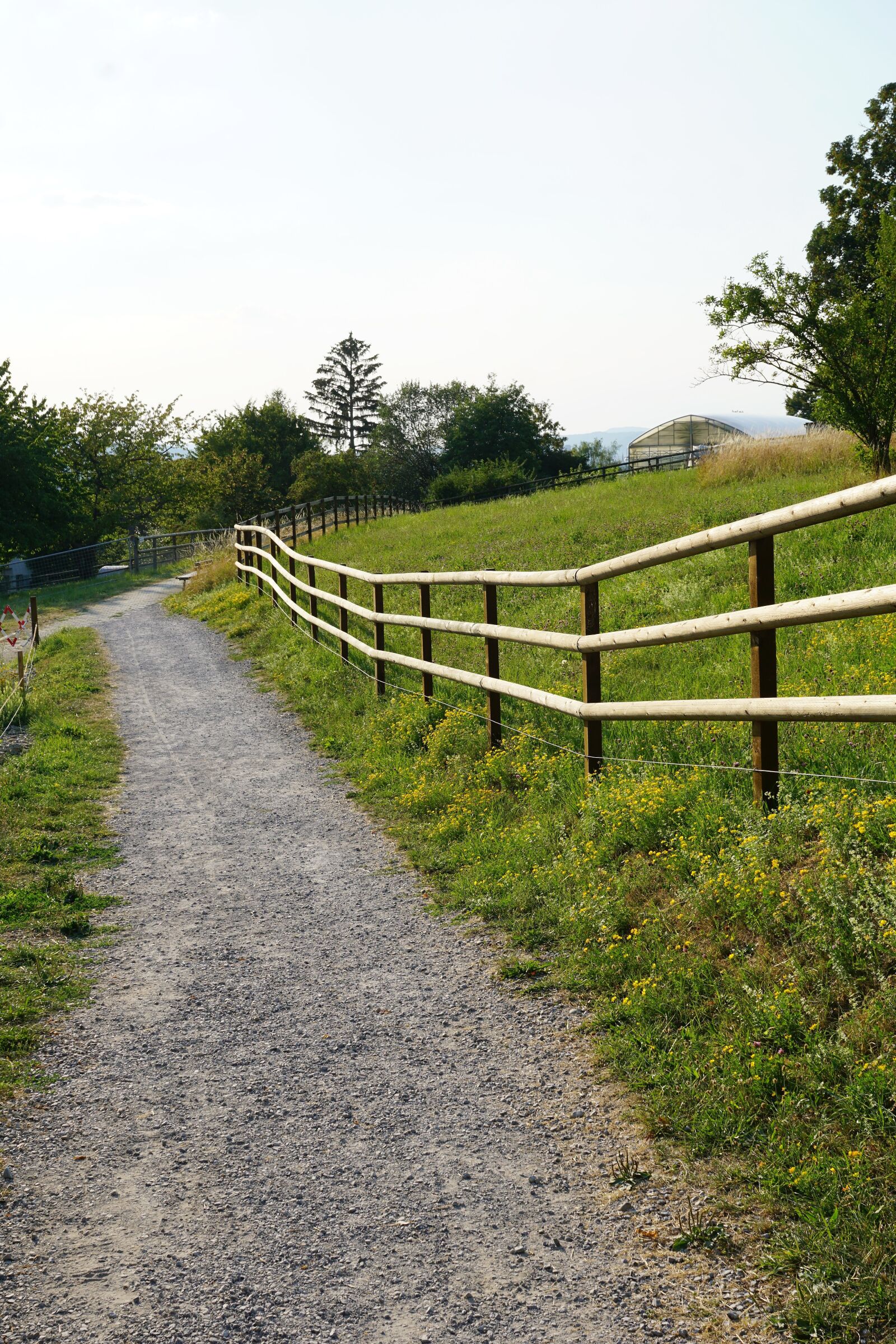 Sony ILCA-77M2 + Sony DT 16-50mm F2.8 SSM sample photo. Away, road, field photography