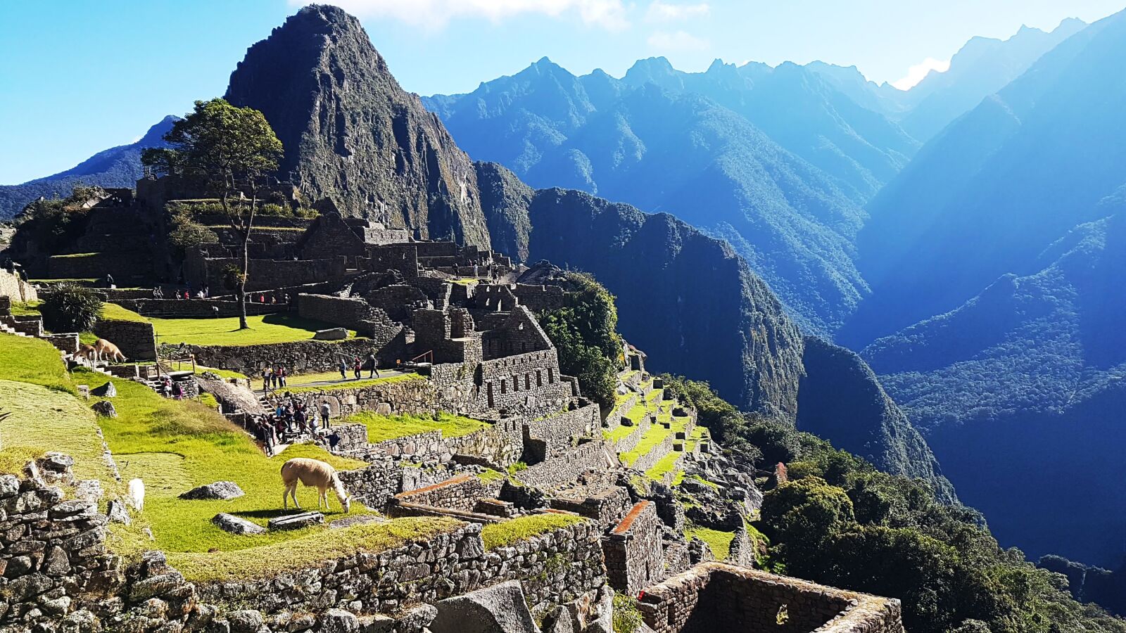 Samsung Galaxy S7 Edge sample photo. Machu picchu, lama, peru photography