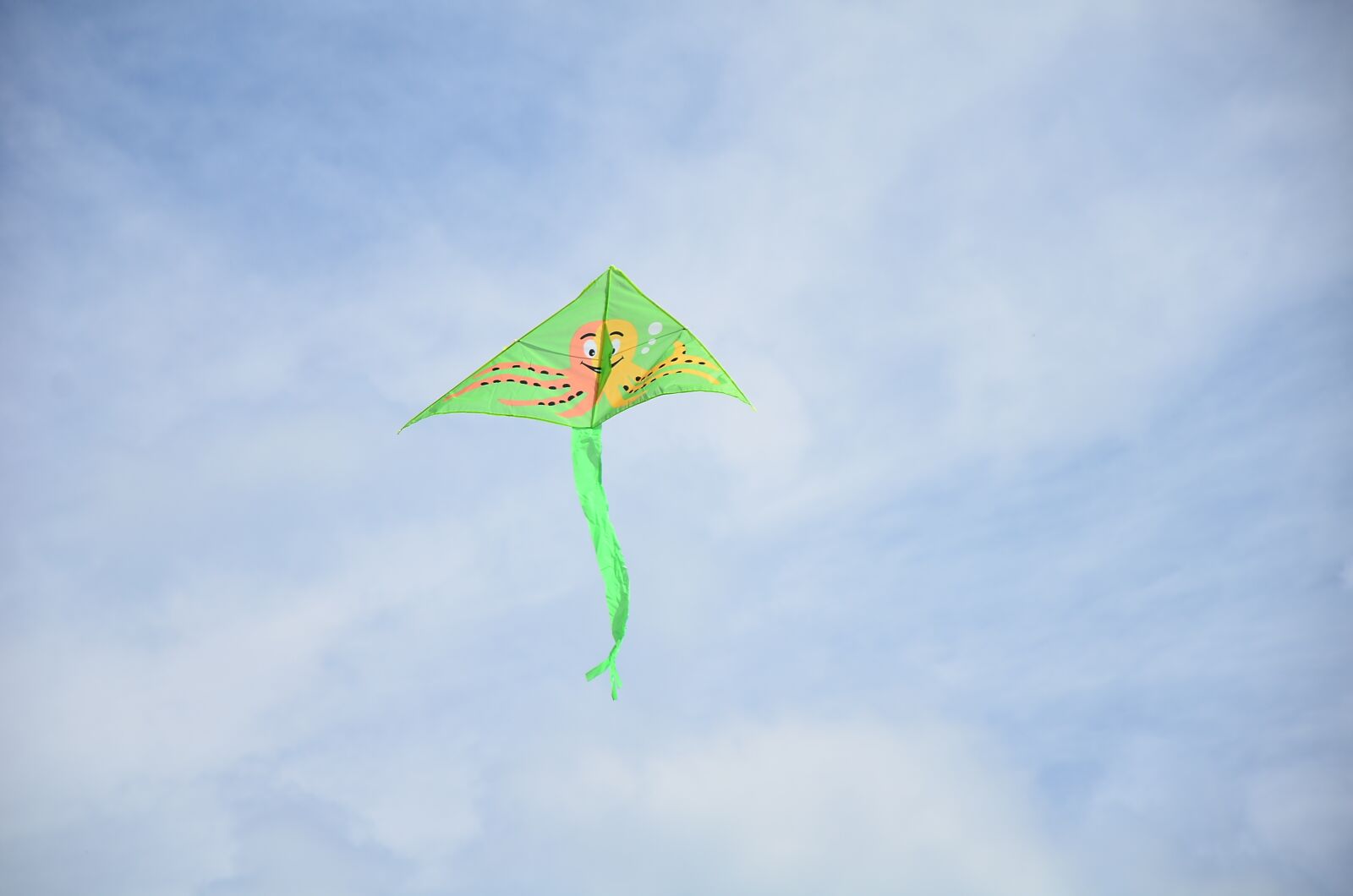 Nikon D7000 sample photo. Snakes, air, flight photography