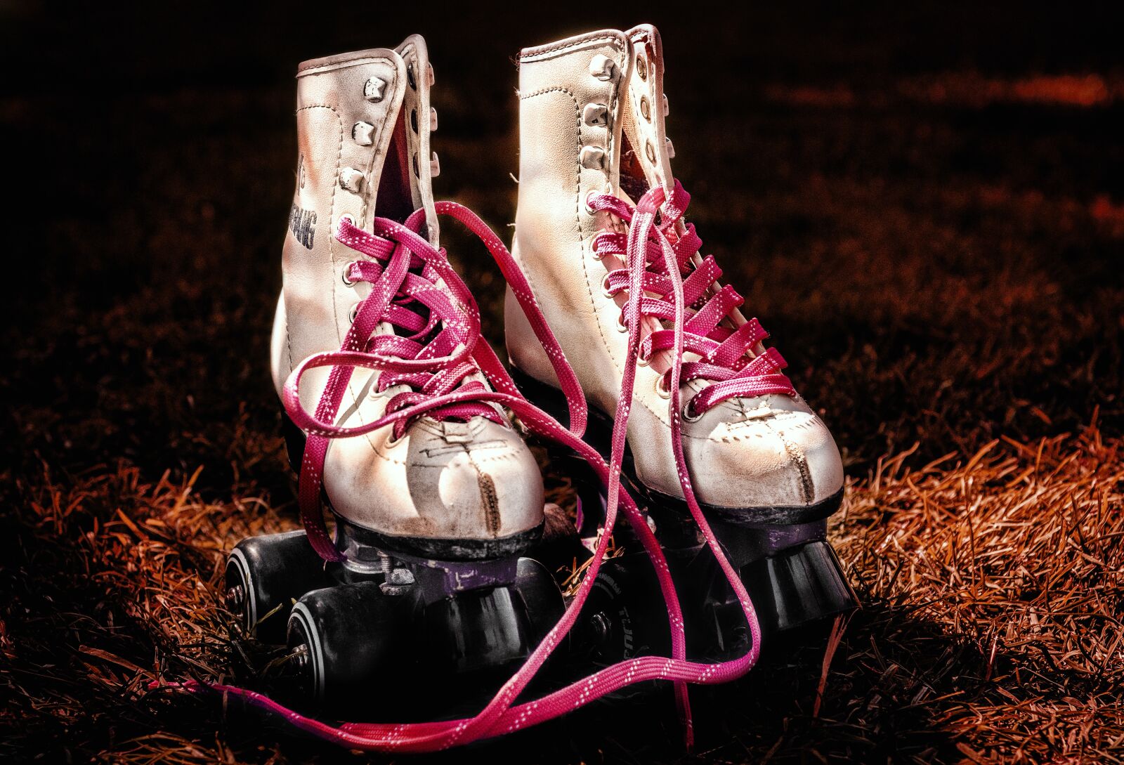 Nikon D7200 sample photo. Skates, shoe, footwear photography
