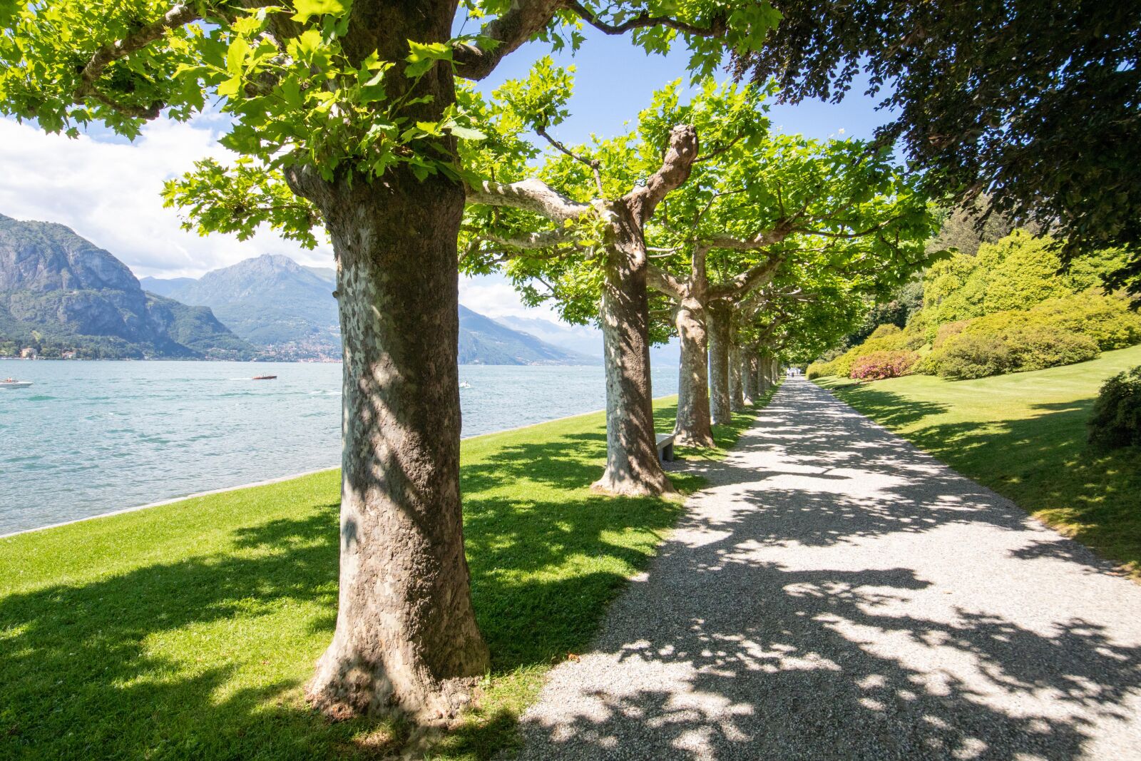 Canon EOS 80D sample photo. Viale, lake, summer photography
