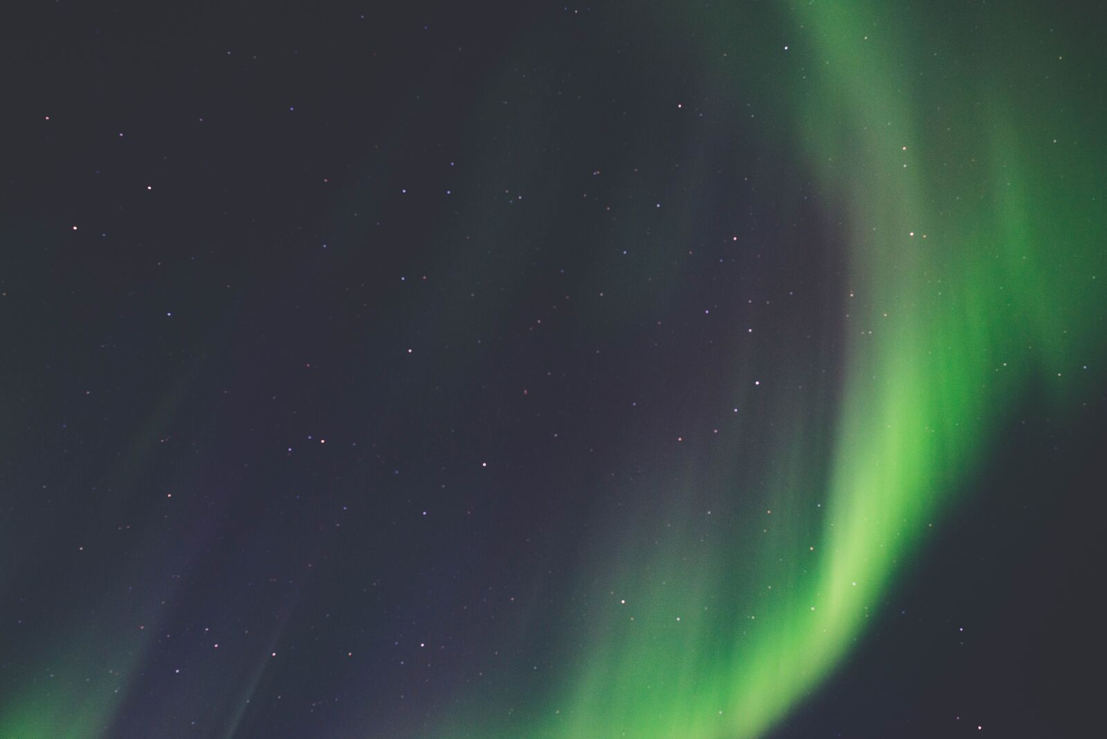Nikon D610 sample photo. Green, atmosphere, space photography