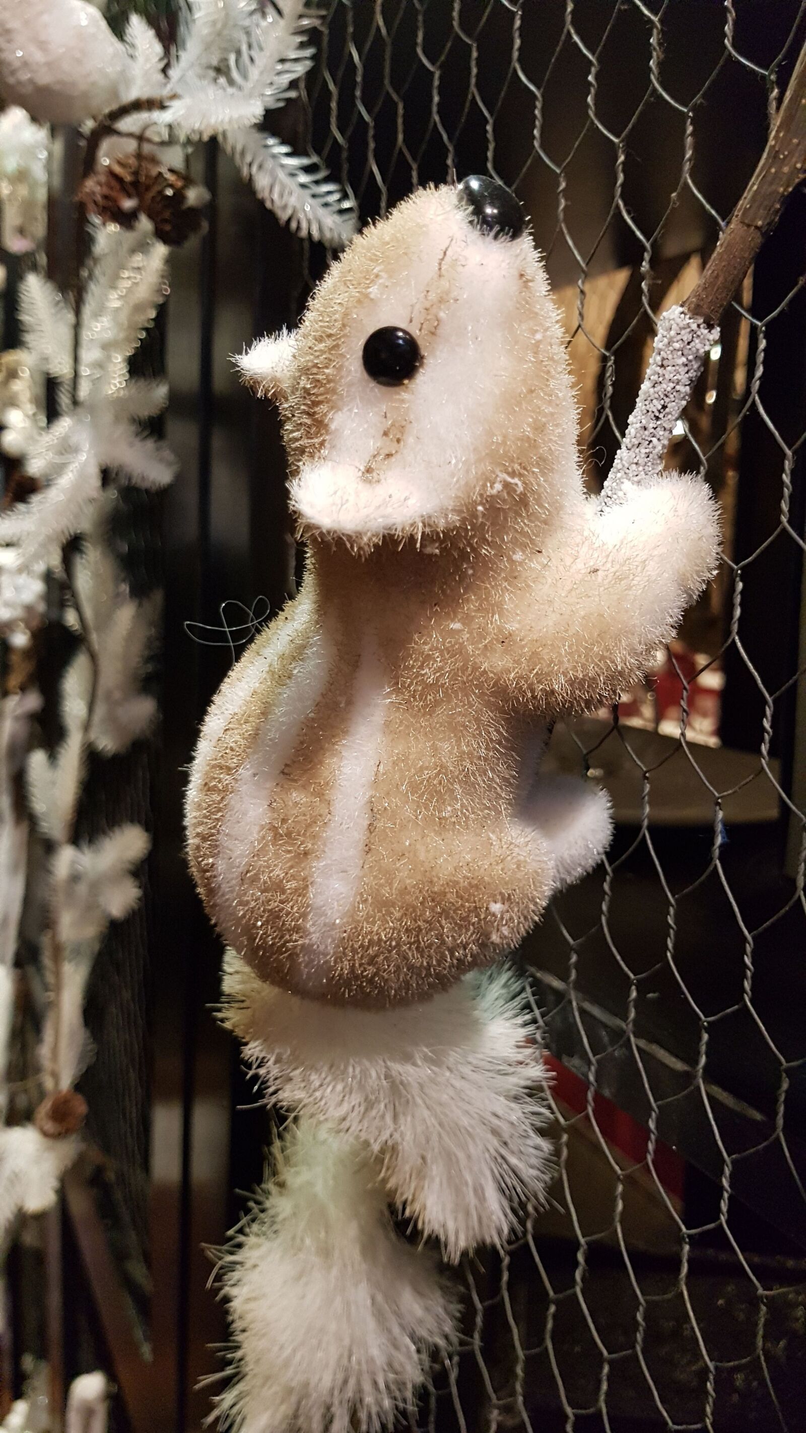 Samsung Galaxy S7 Edge sample photo. Christmas, squirrel, decoration photography