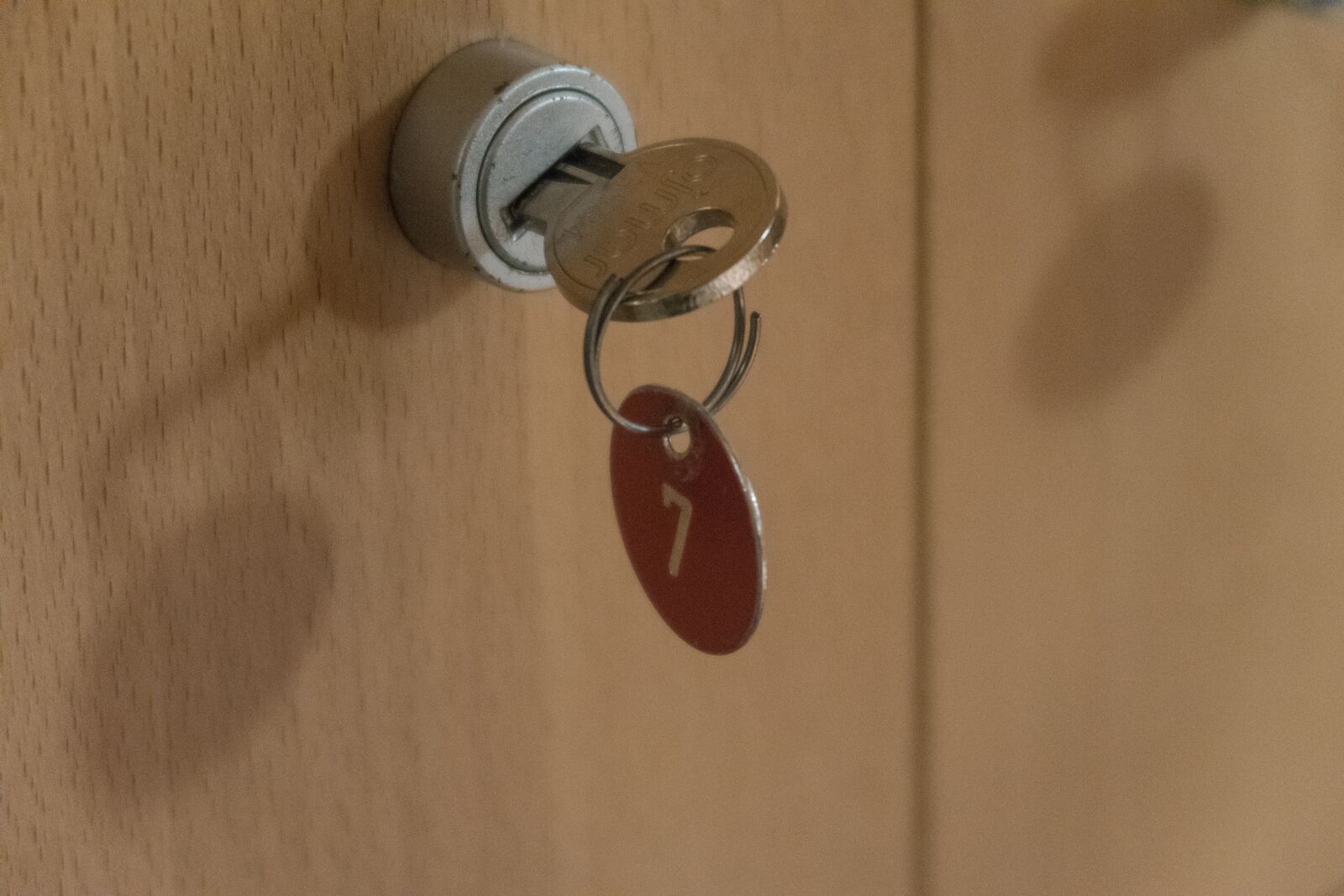Canon PowerShot G7 X Mark II sample photo. Key, lock, security photography