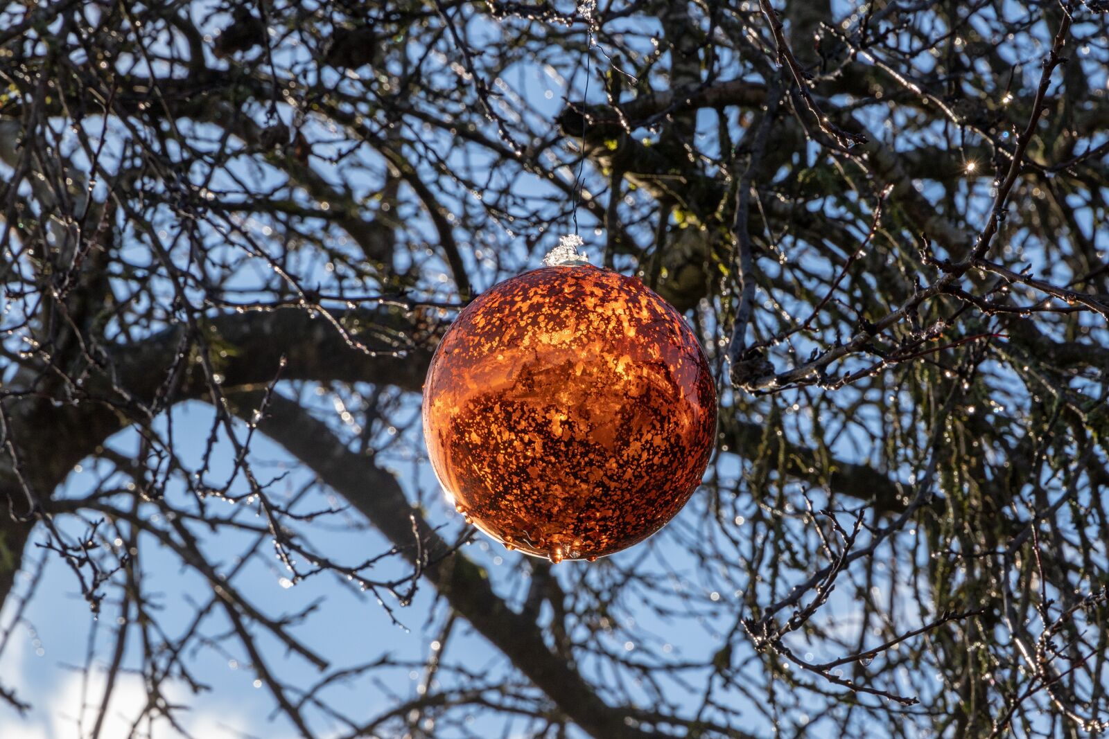Canon EOS 6D Mark II sample photo. Christmas bauble, winter, branches photography