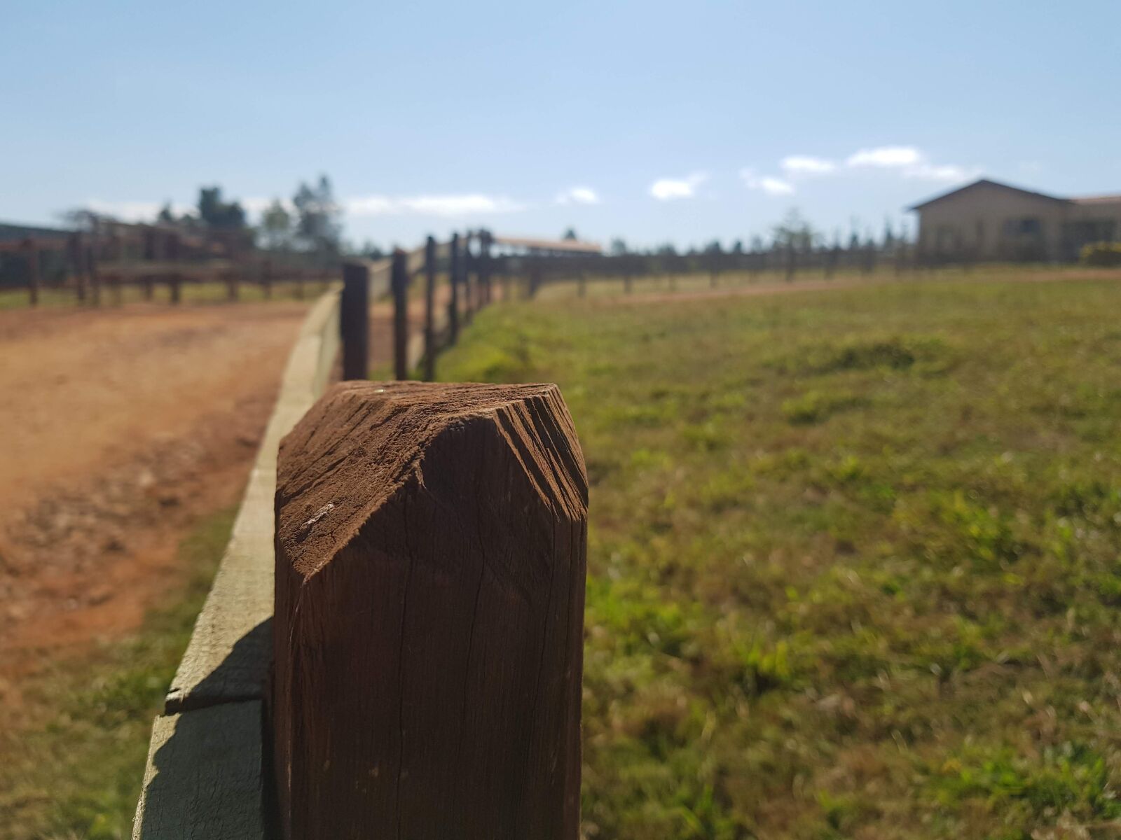 Samsung Galaxy S8+ sample photo. Farm, field, concierge photography