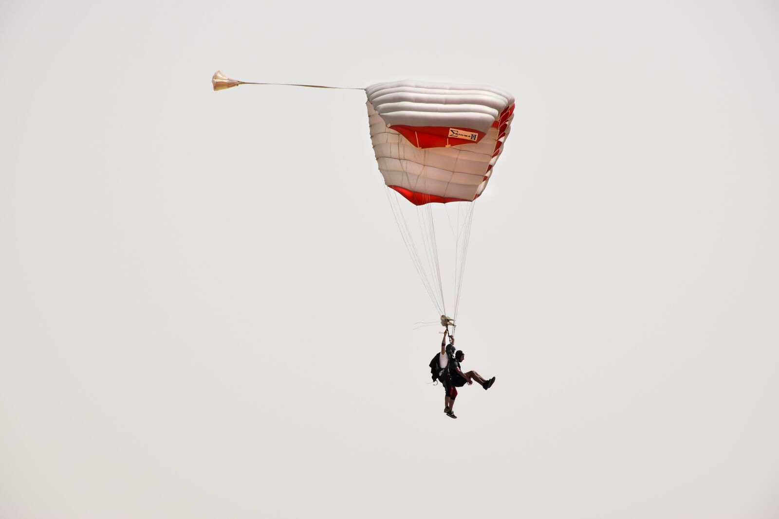 Nikon D5600 sample photo. Skydiving, sky, parachute photography