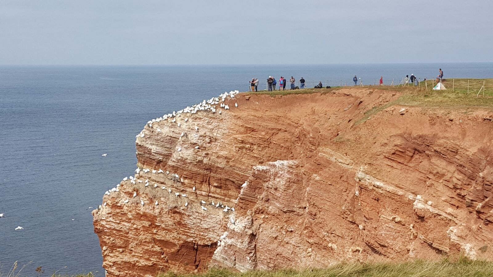 Samsung GALAXY S6 edge sample photo. Helgoland, rock, north sea photography
