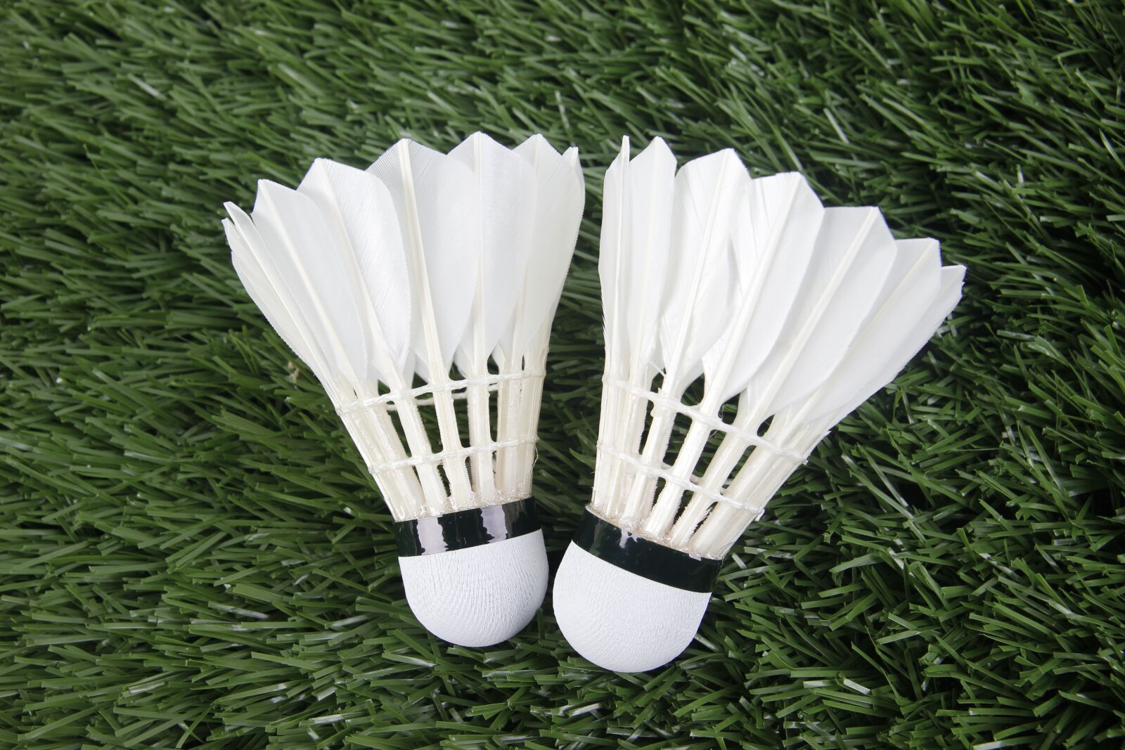 Canon EOS 550D (EOS Rebel T2i / EOS Kiss X4) sample photo. Badminton, sport, shuttlecock photography