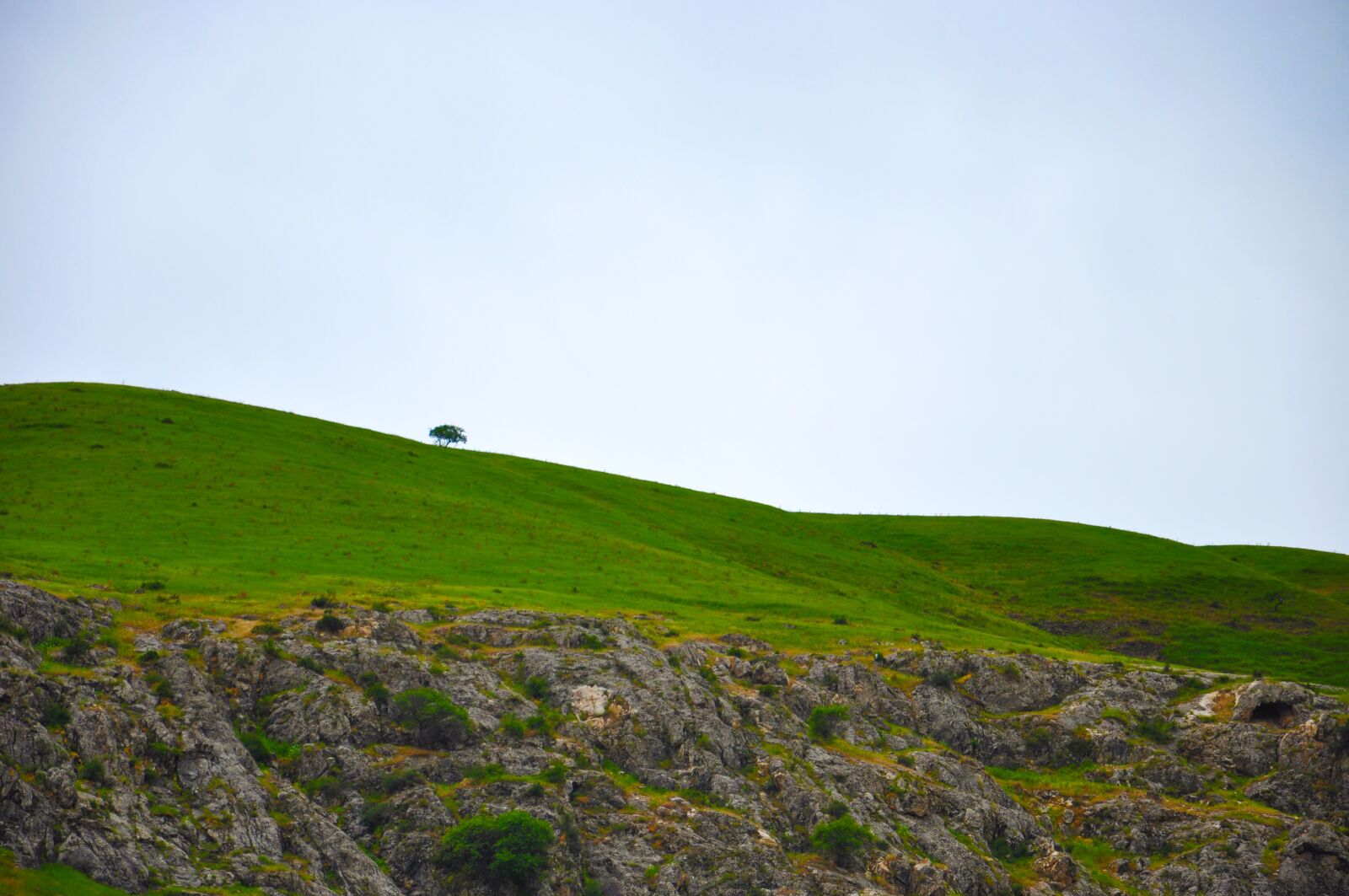 Nikon D90 sample photo. Mountain, tree, green photography