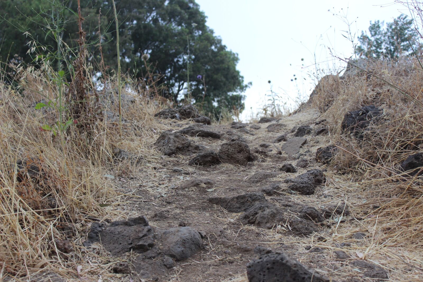 Canon EOS 600D (Rebel EOS T3i / EOS Kiss X5) sample photo. Up, journey, nature photography