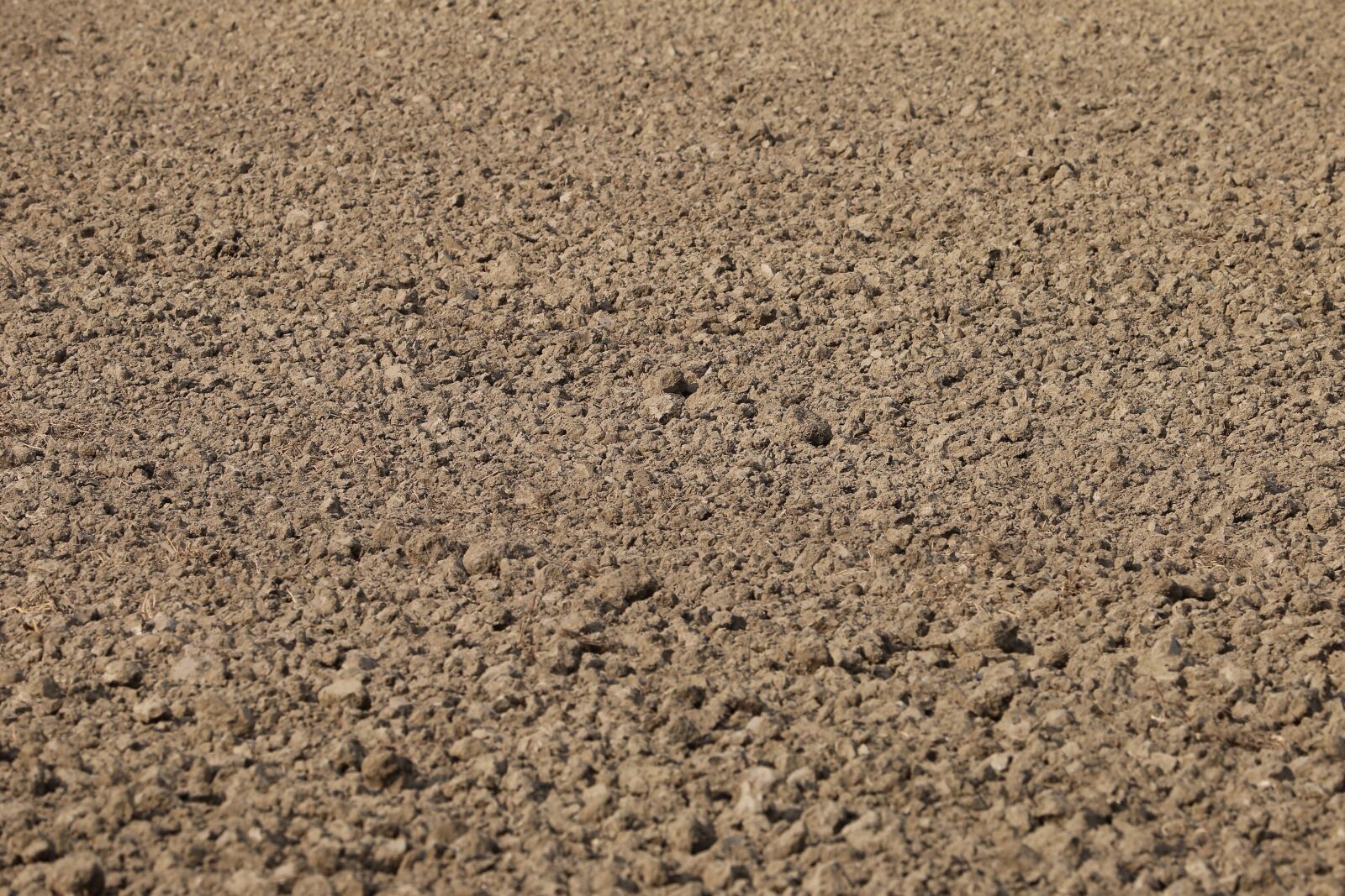 Canon EF 70-300 F4-5.6 IS II USM sample photo. Earth, soil, ground photography